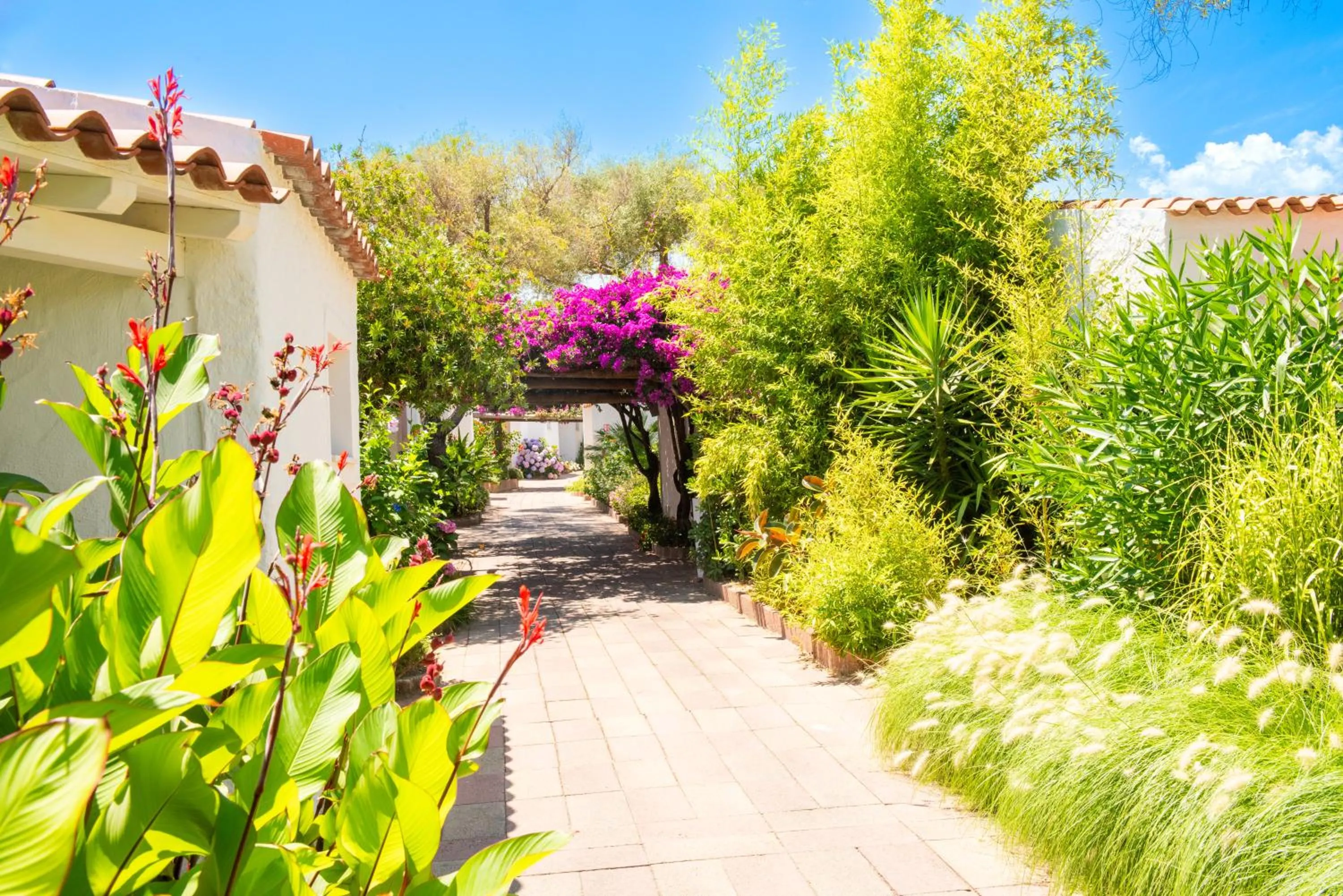 Property building in AMASEA Resort