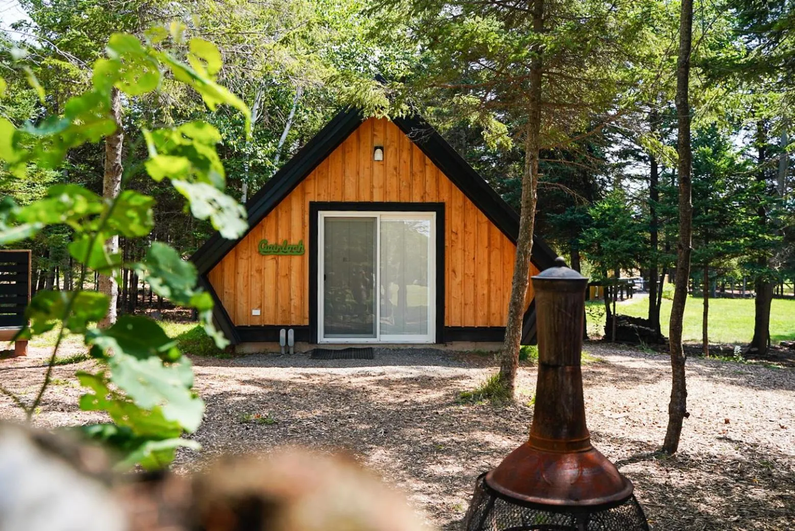 Property building in Wild Pines Cabins