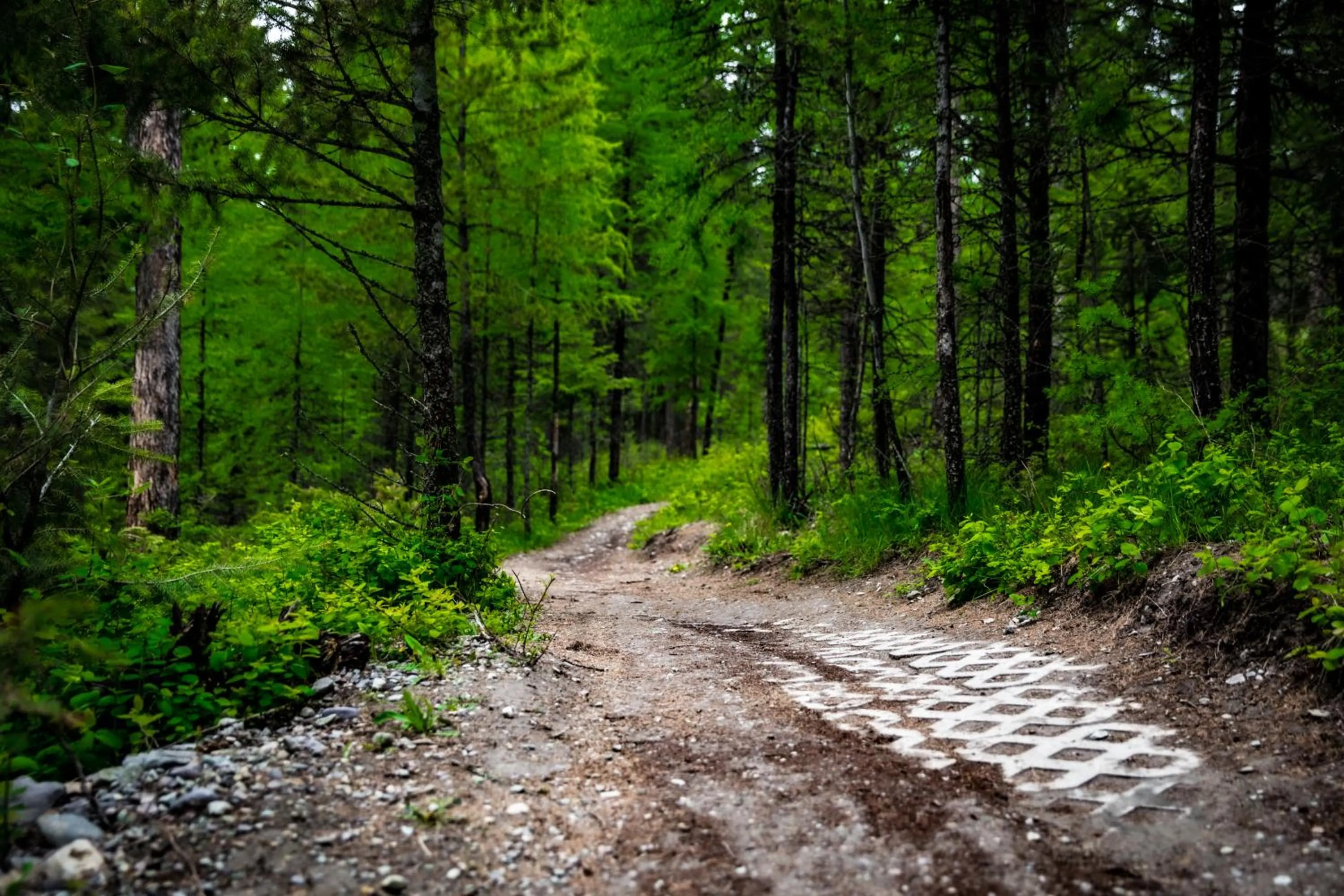 Cityside Big Mountain Lodge