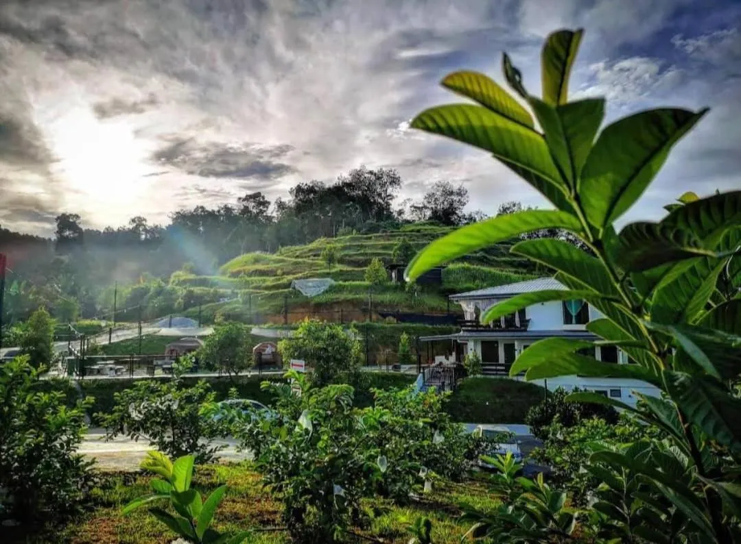 Garden view in I Do Farmstay