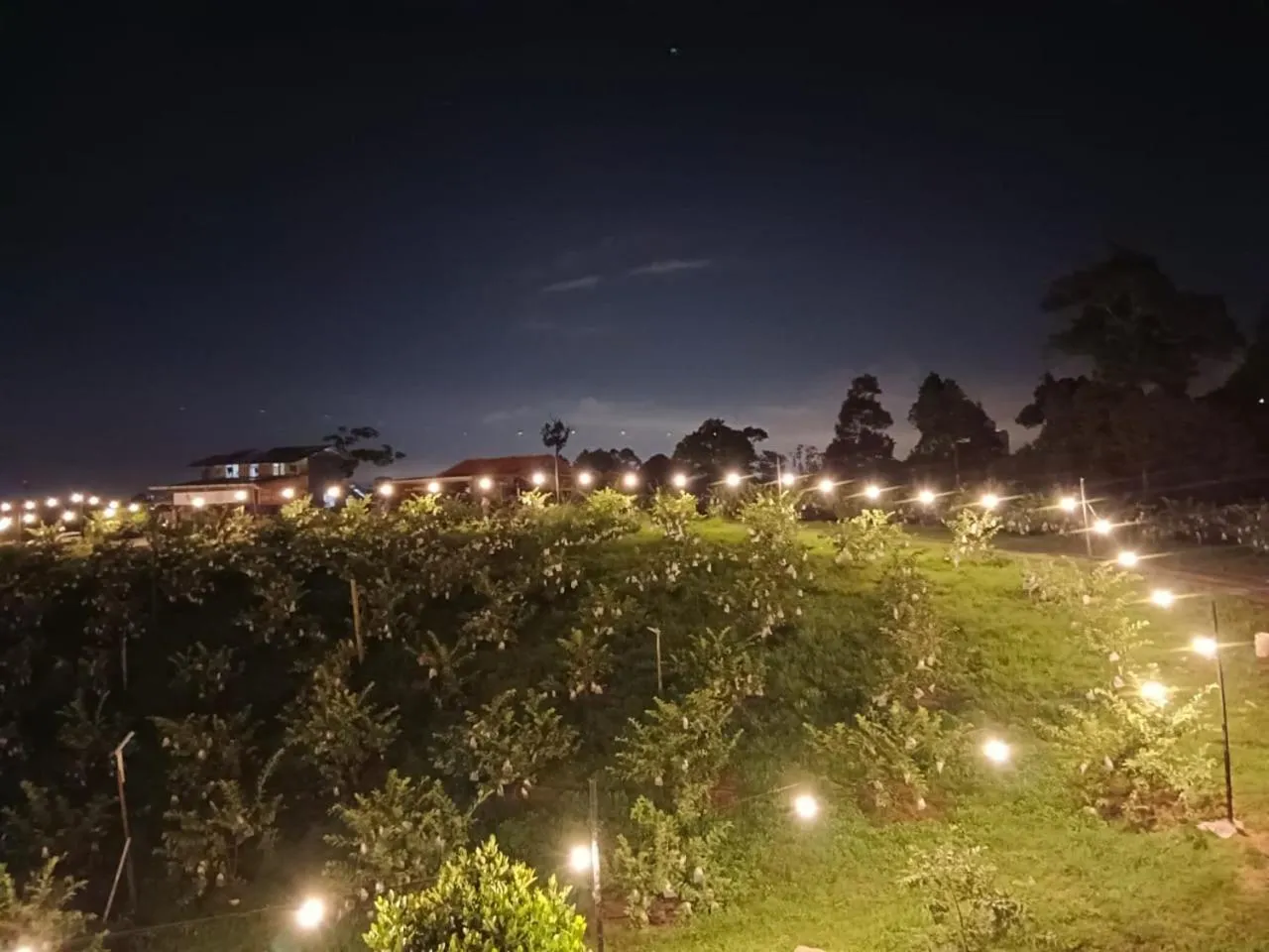 Garden in I Do Farmstay