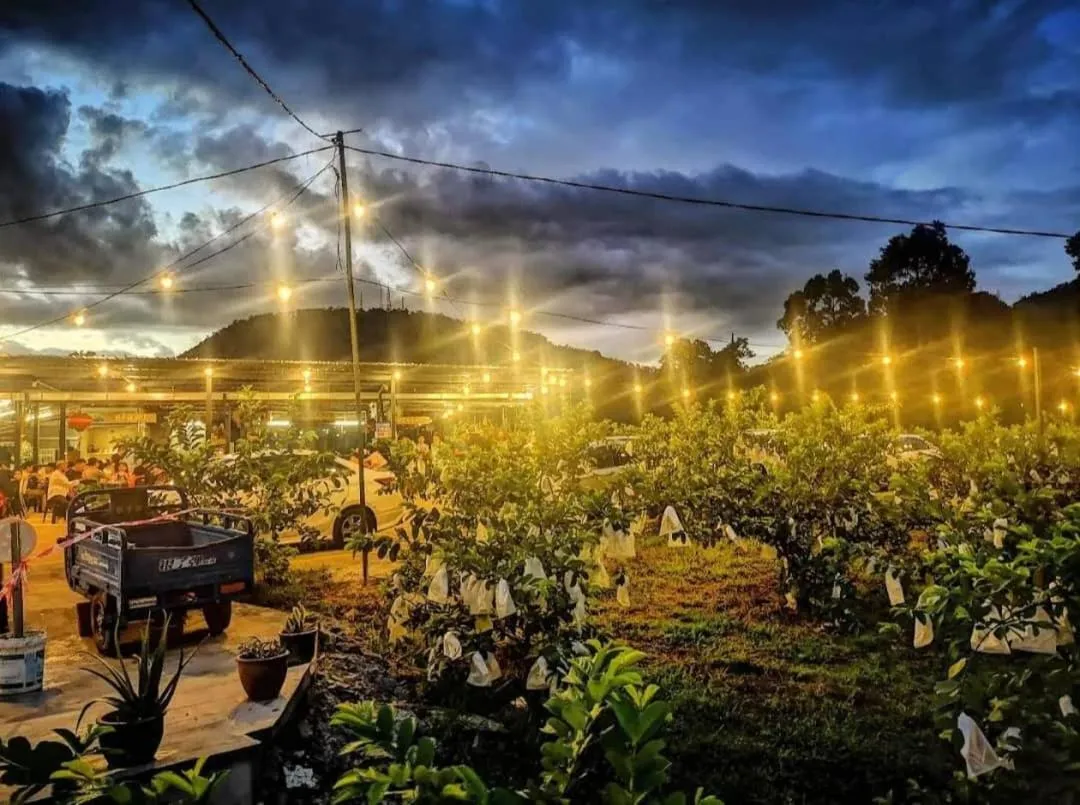 Garden view in I Do Farmstay