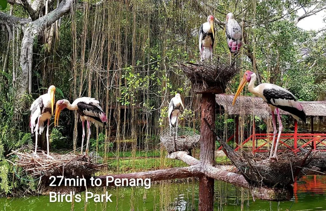 Nearby landmark in I Do Farmstay