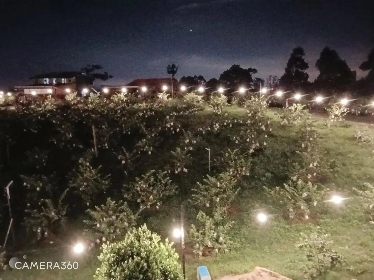 Garden in I Do Farmstay