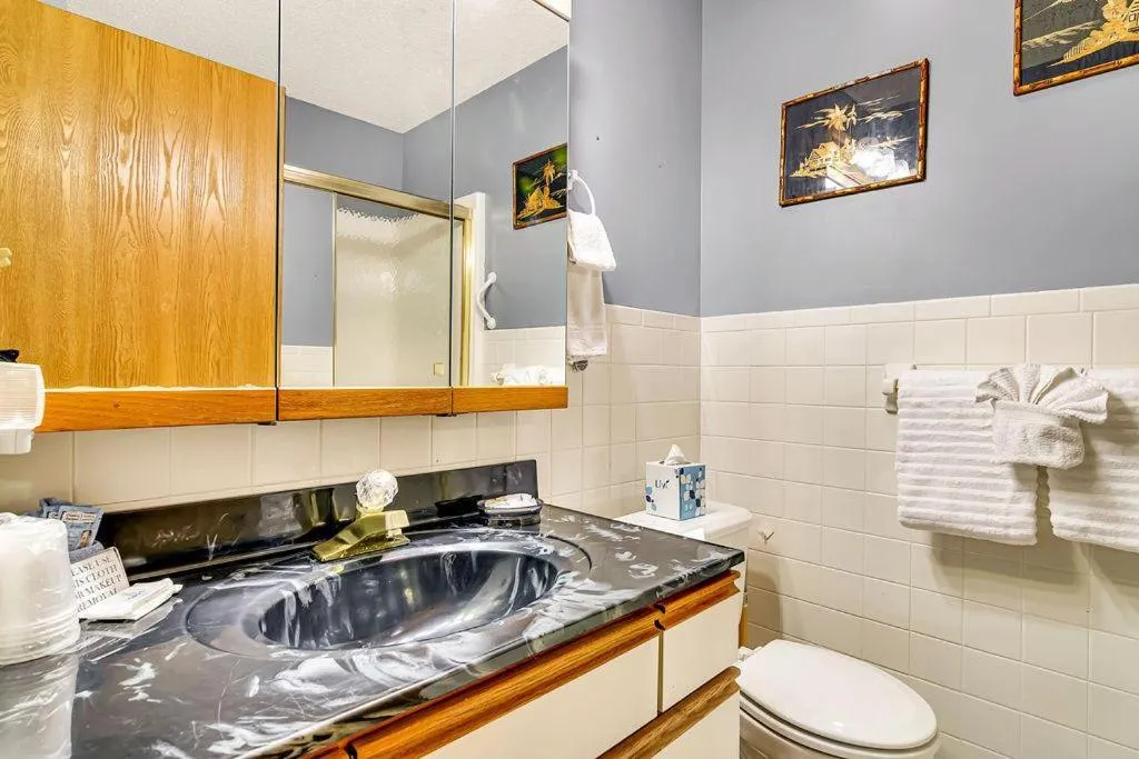 Silver Maple --305--with Boat Slip