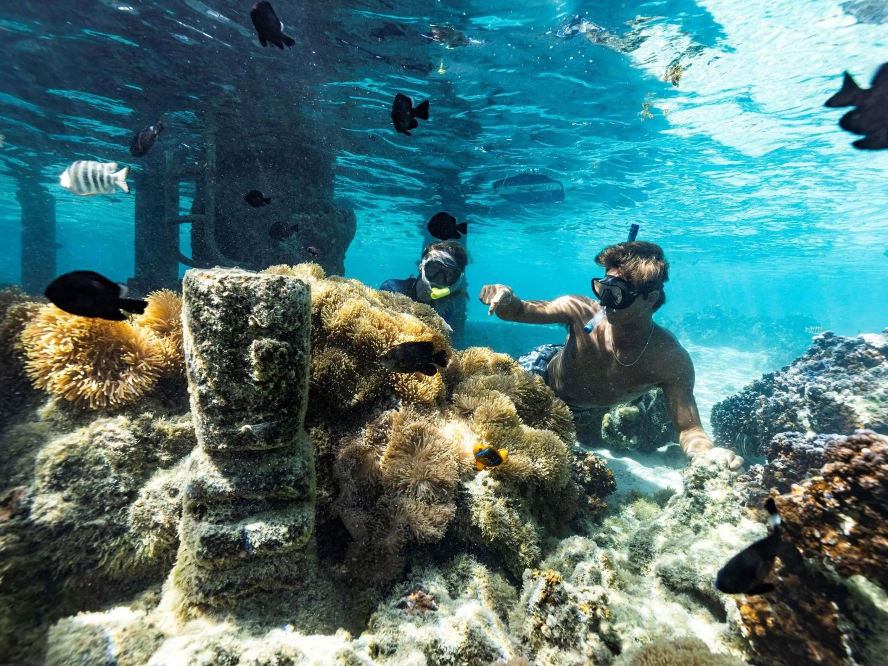 Other in Sofitel Kia Ora Moorea Beach Resort