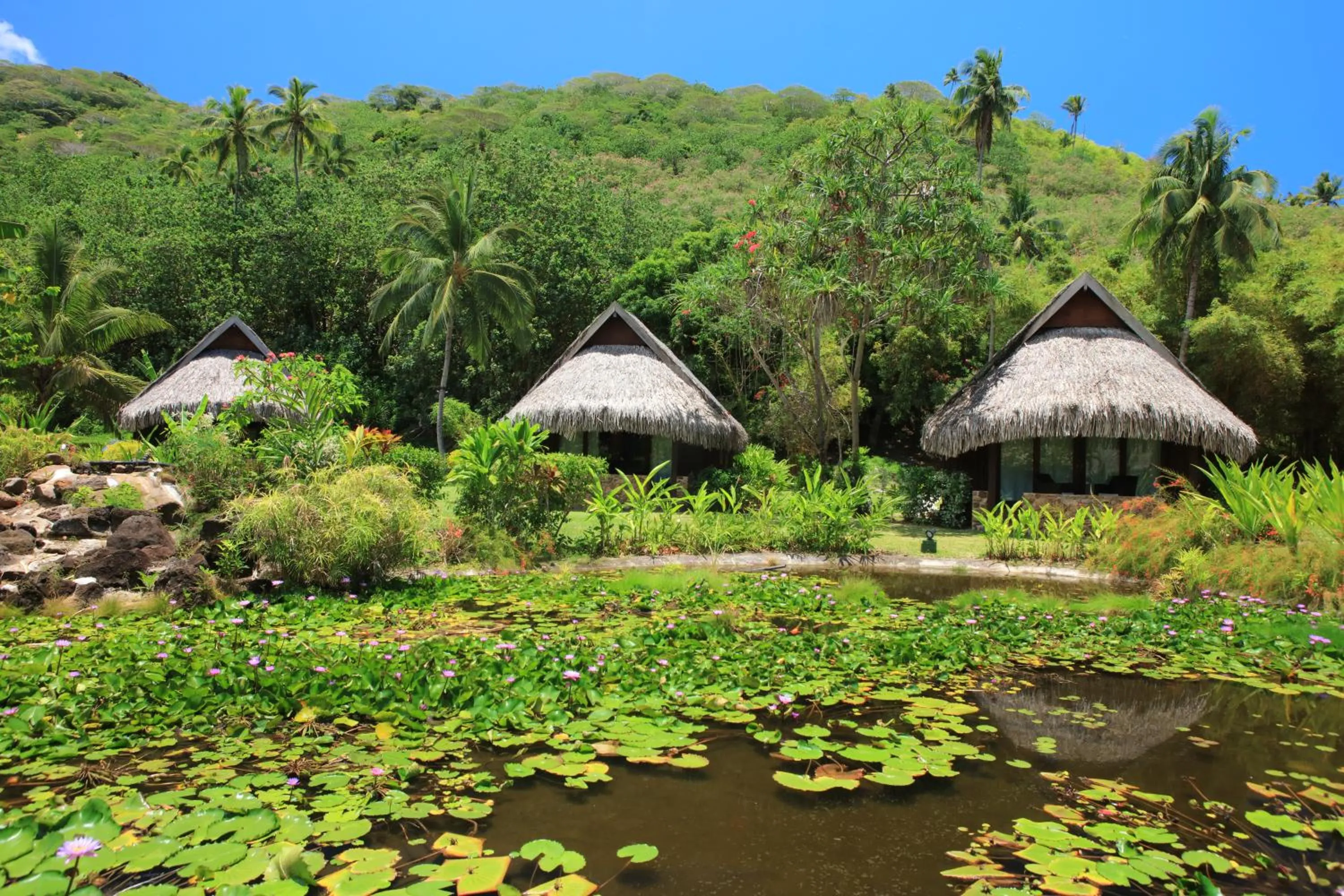 Garden in Sofitel Kia Ora Moorea Beach Resort