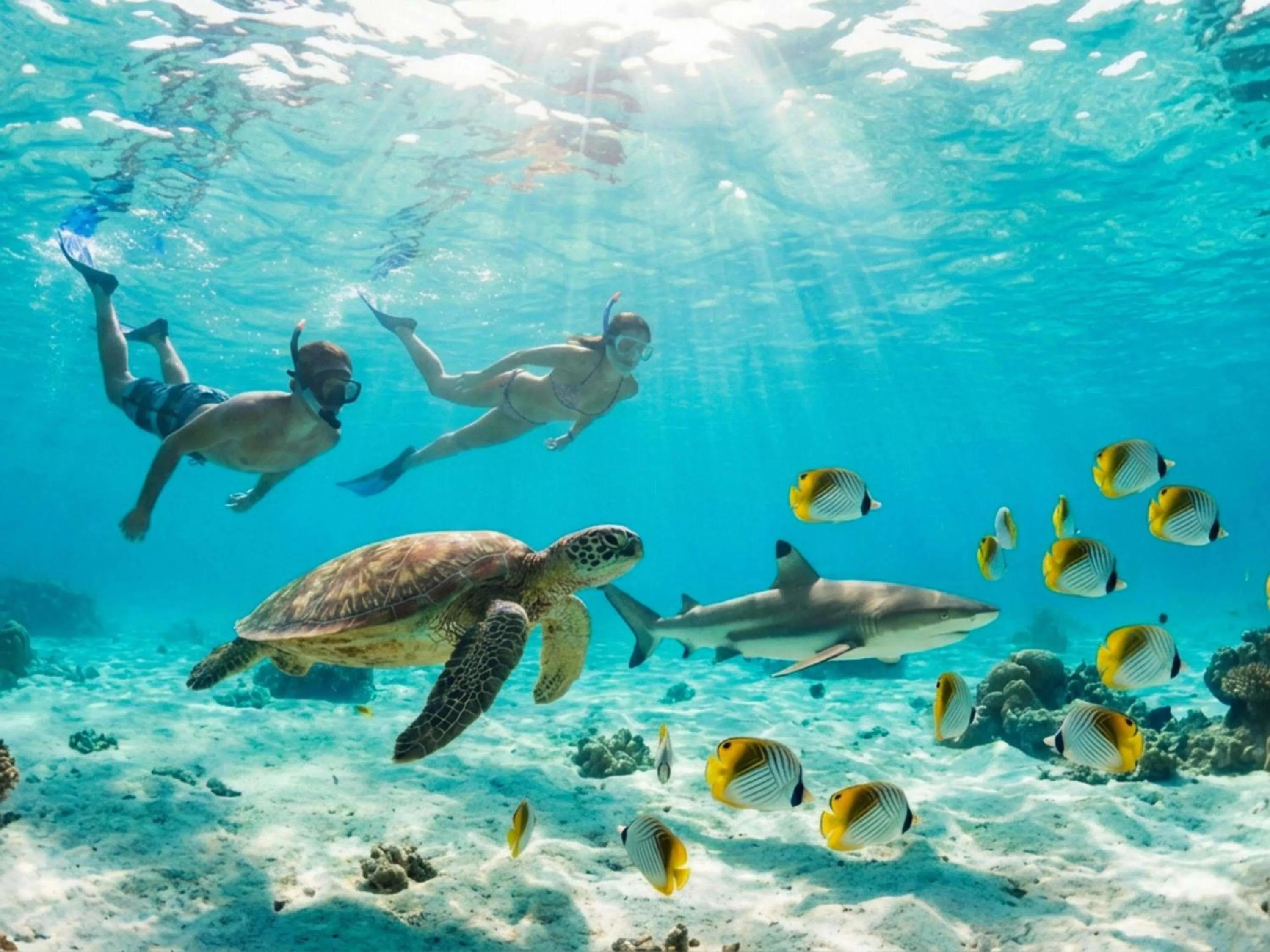 Other in Sofitel Kia Ora Moorea Beach Resort