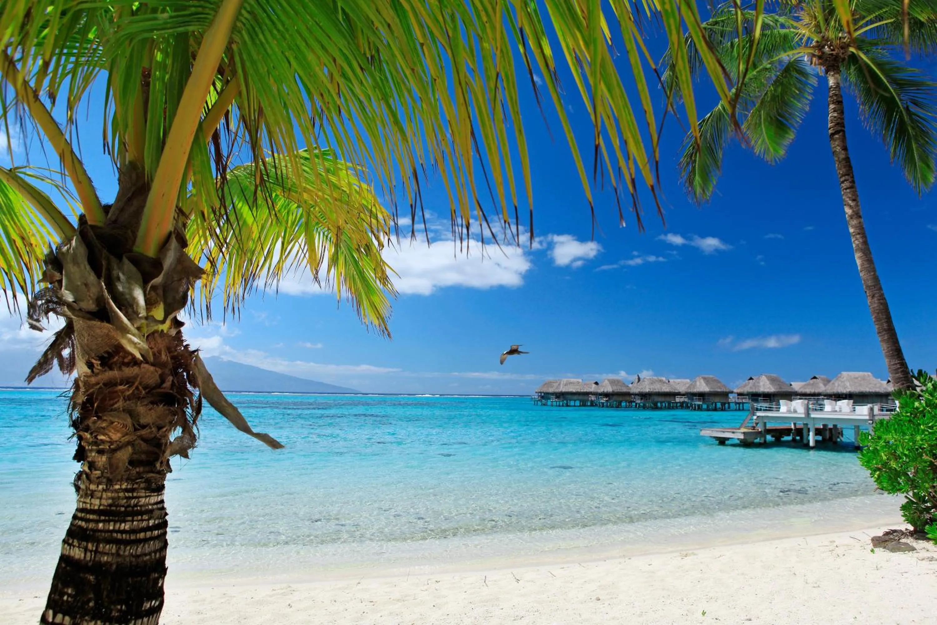 Beach in Sofitel Kia Ora Moorea Beach Resort