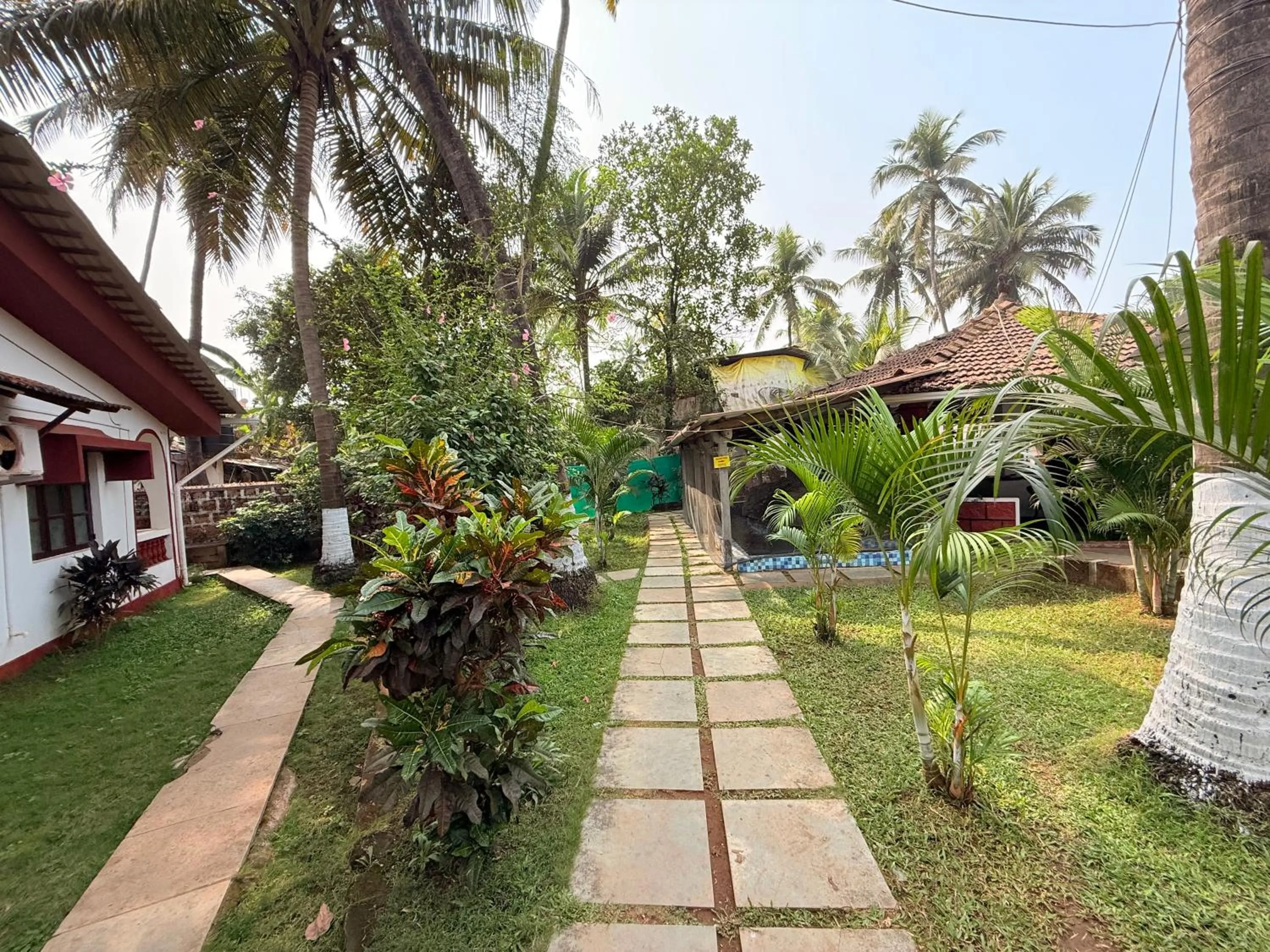 Garden in Red Sea Beach Resort