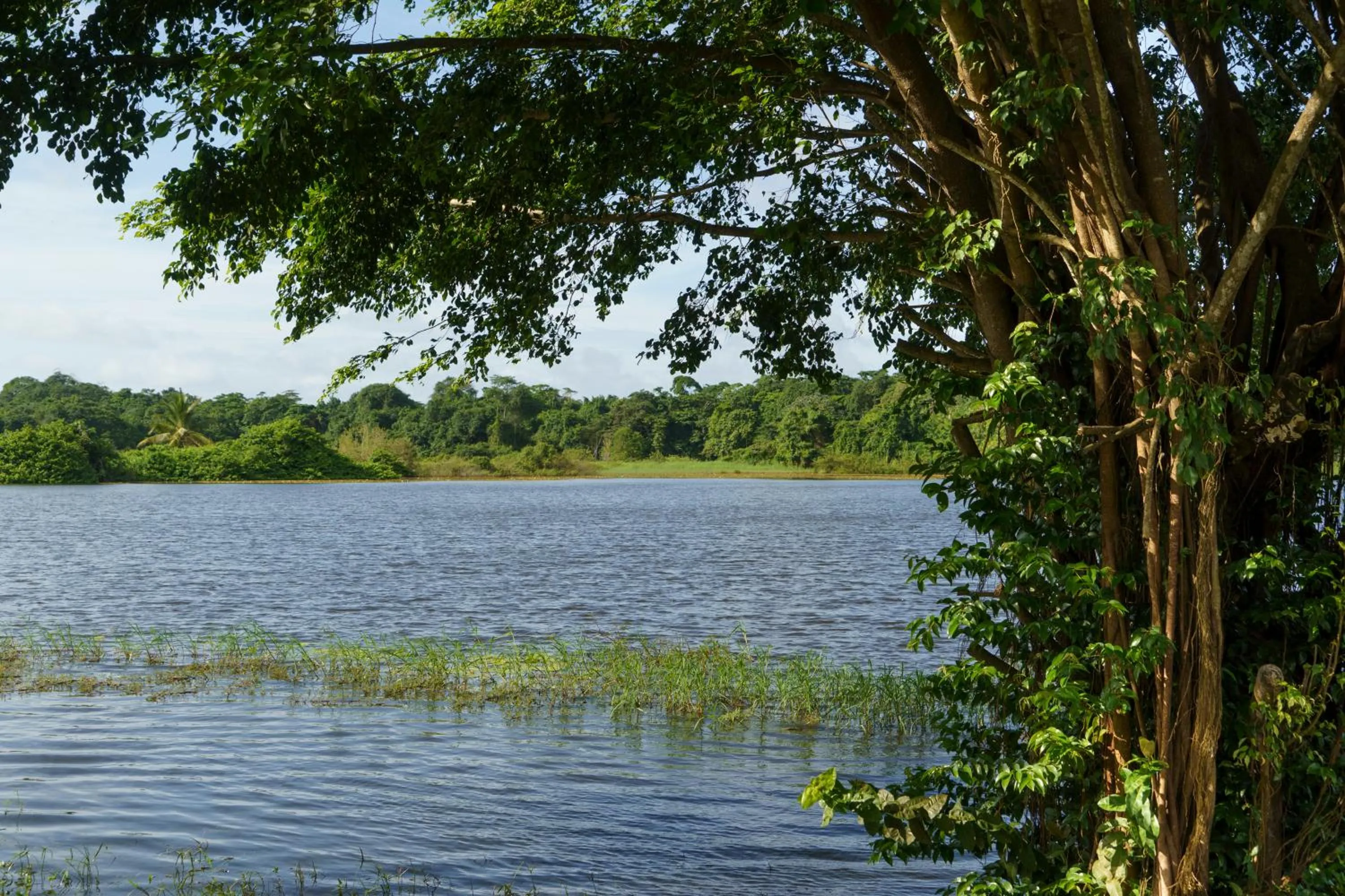Hotel Mercure Kourou Ariatel