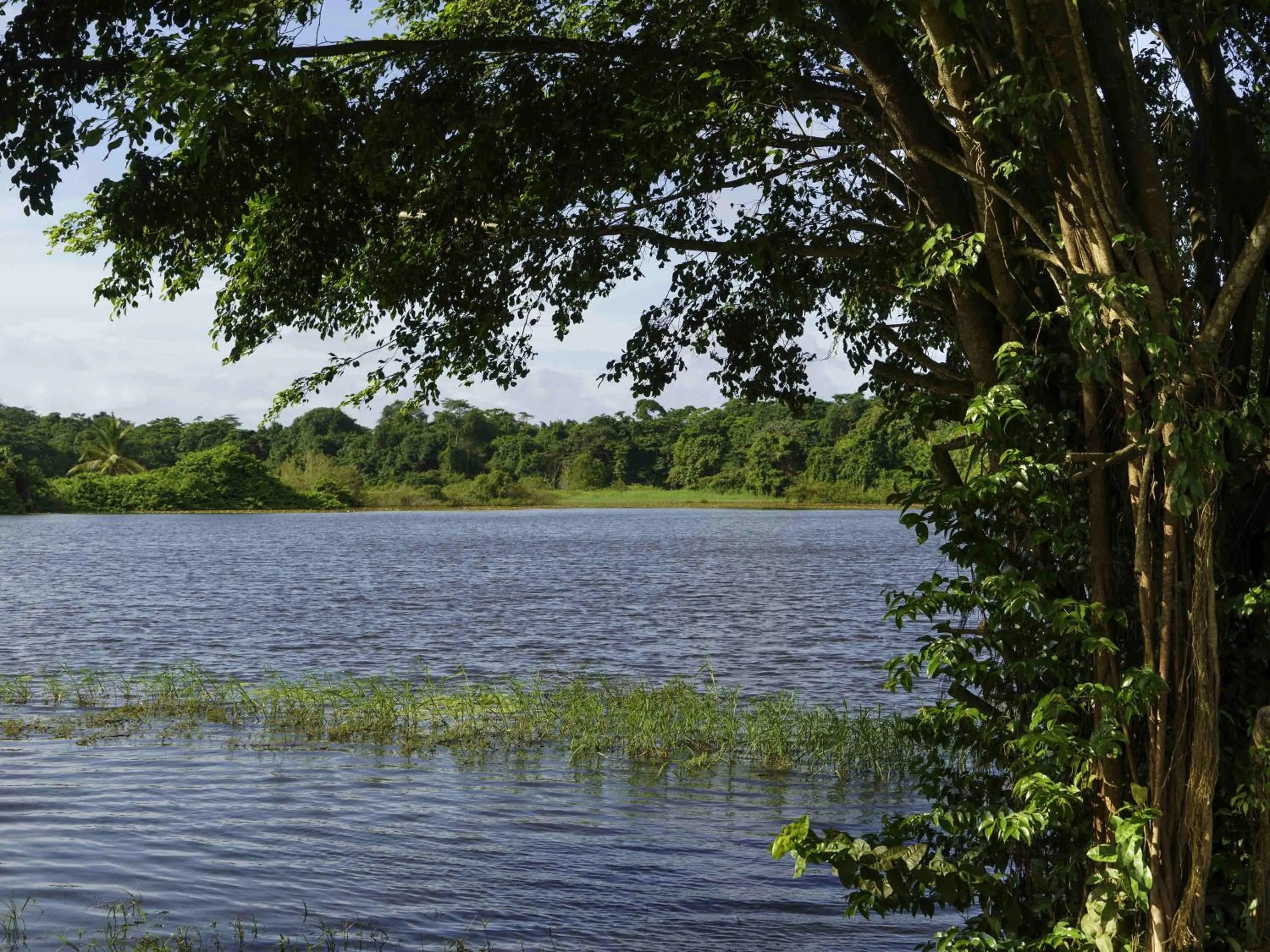Other in Hotel Mercure Kourou Ariatel