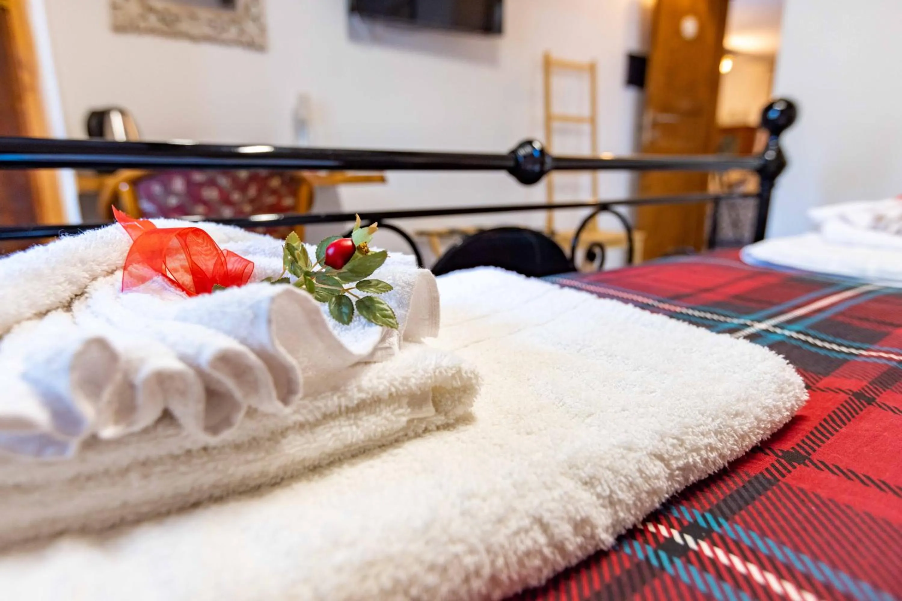 La Corteccia del Faggio