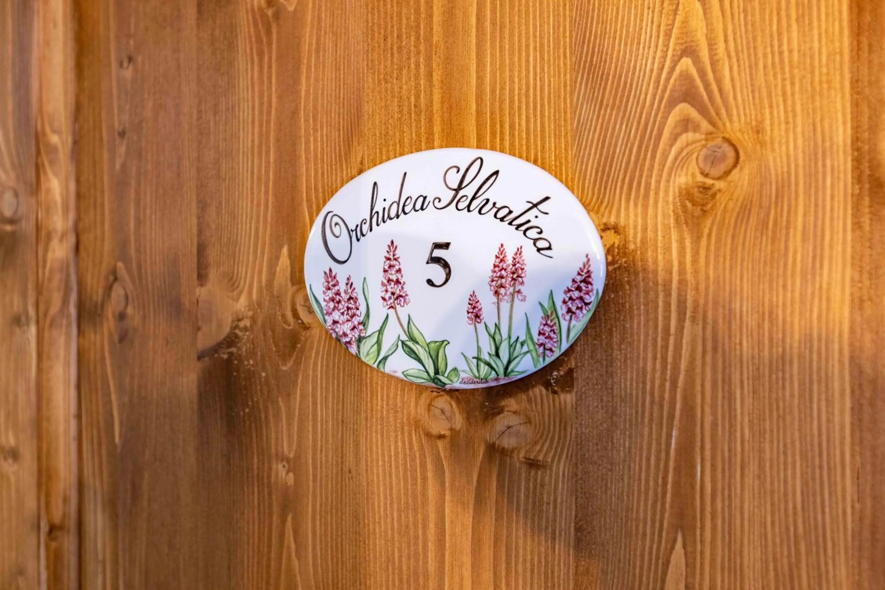 La Corteccia del Faggio