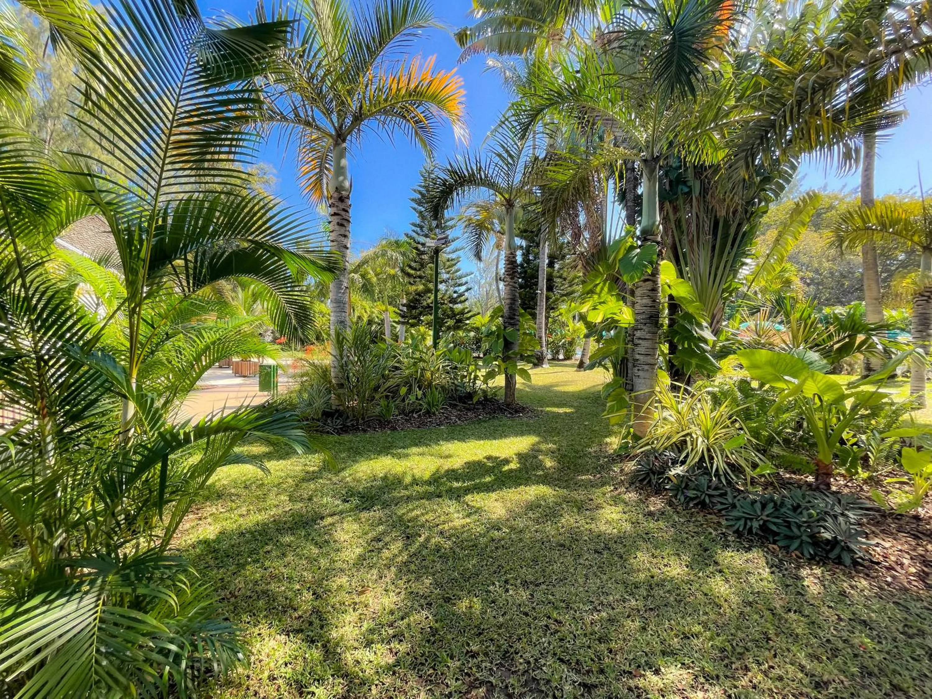 Garden in Relais de l’Hermitage Saint-Gilles