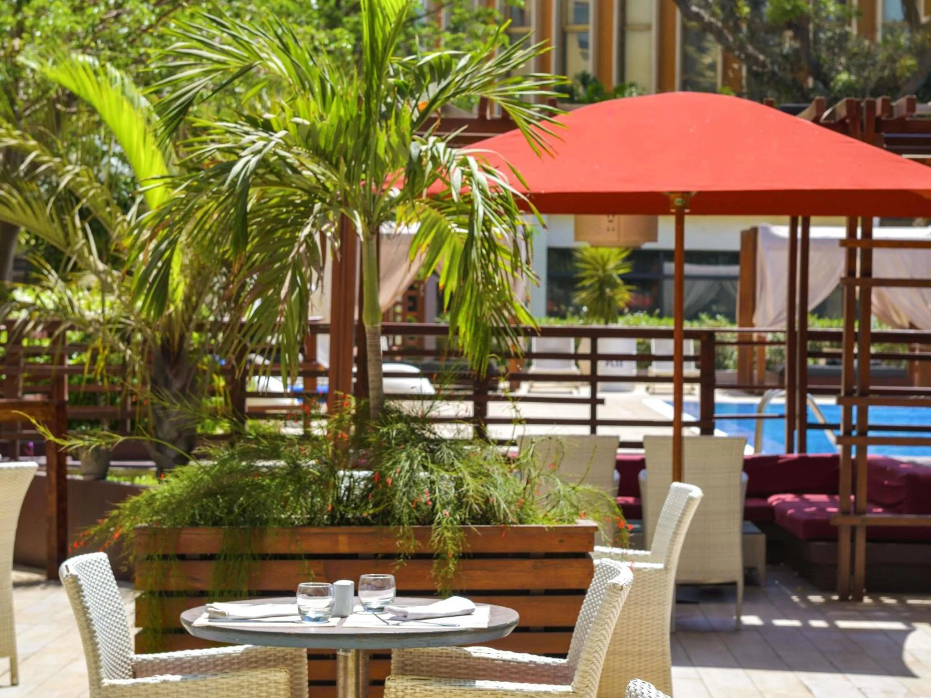 Lounge or bar in Novotel Dakar