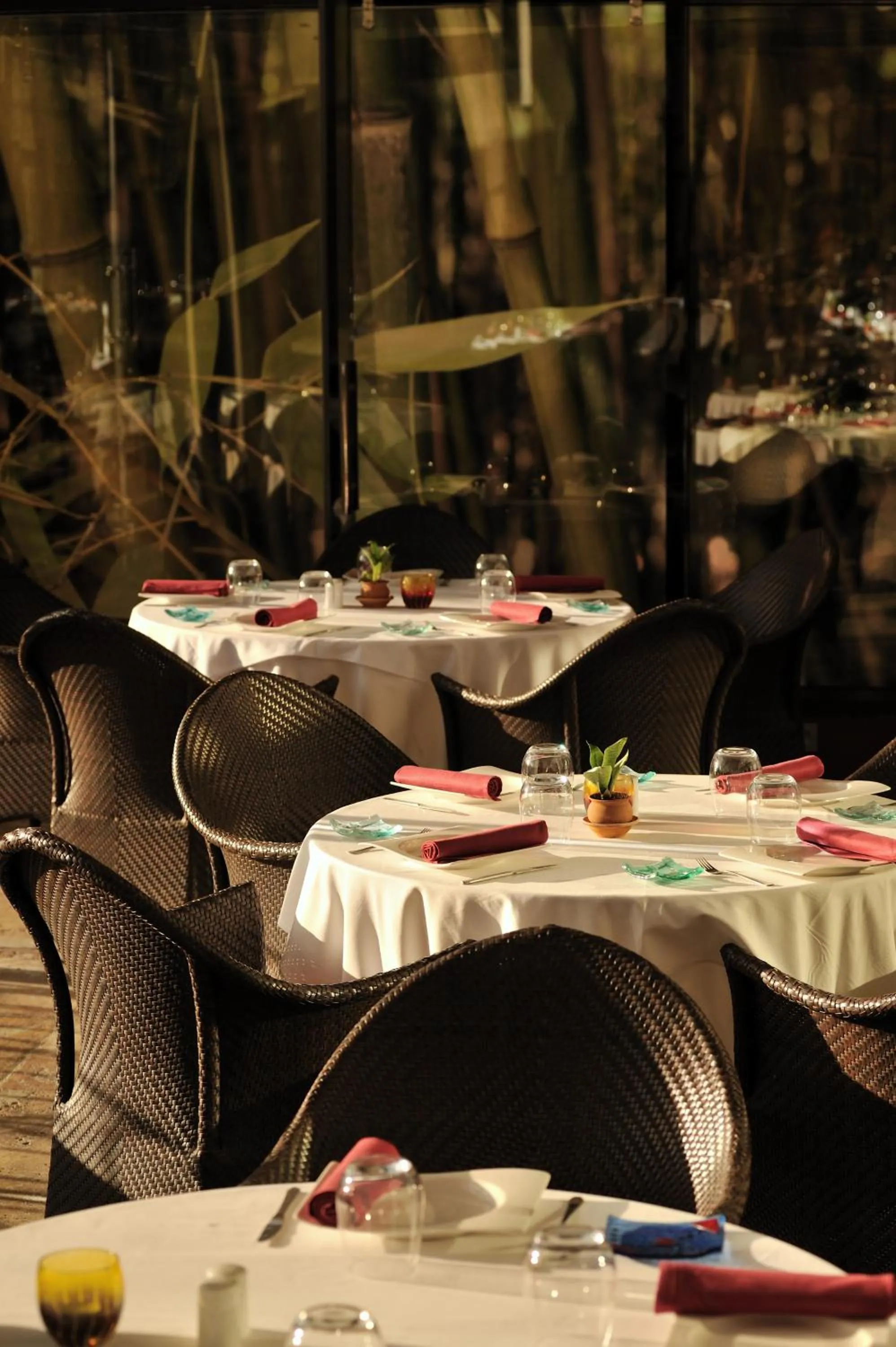 Sofitel Algiers Hamma Garden