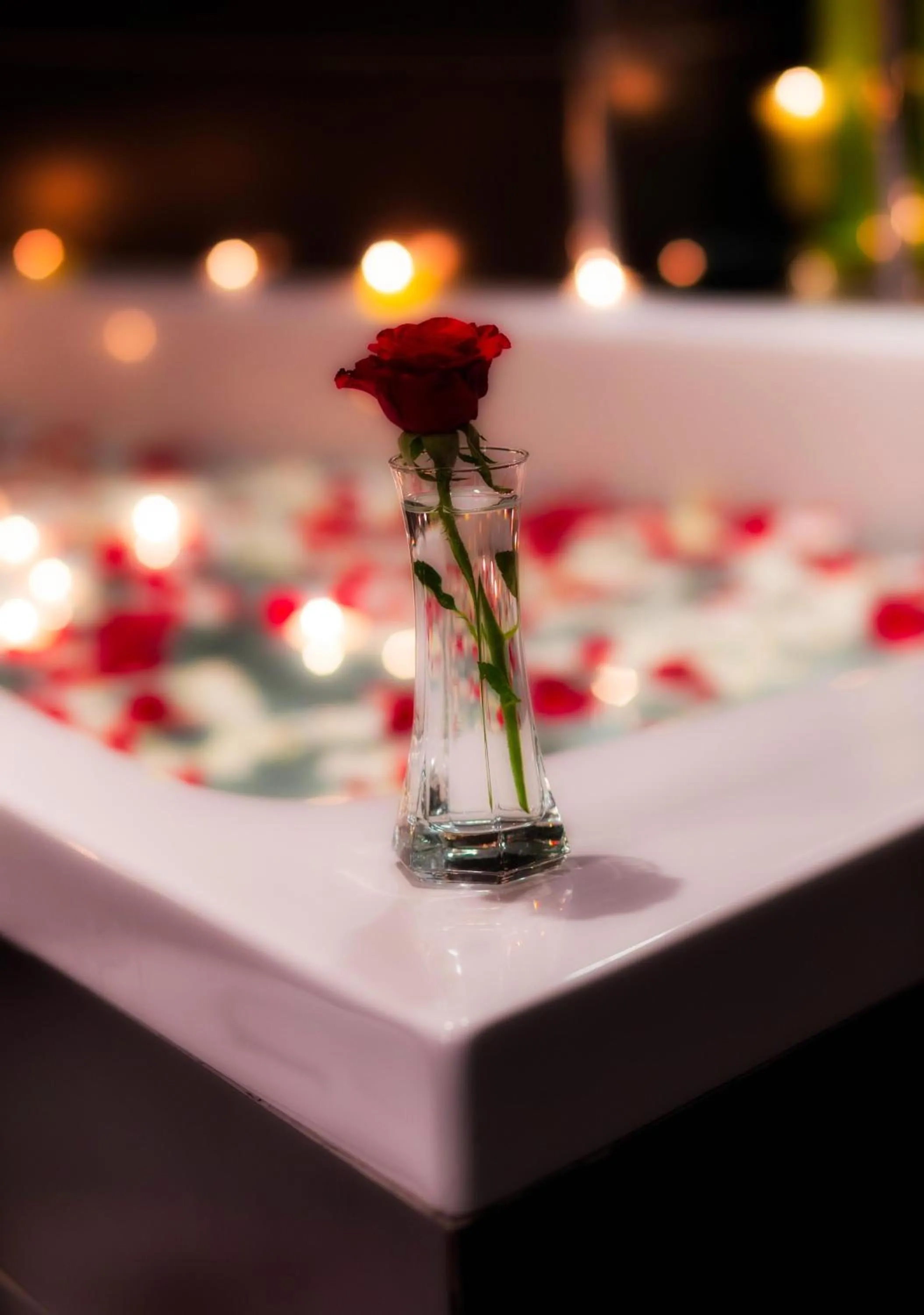 Sofitel Algiers Hamma Garden