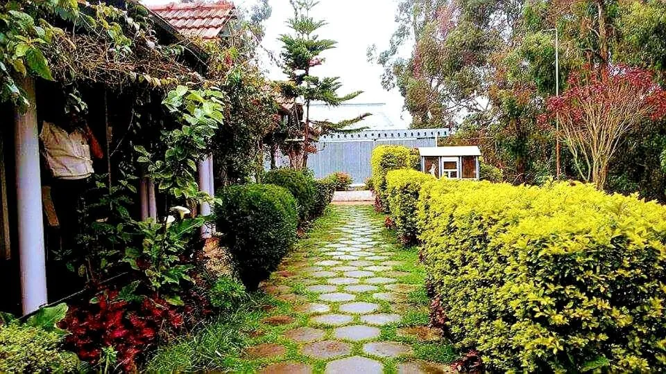 Day in Abu Residency