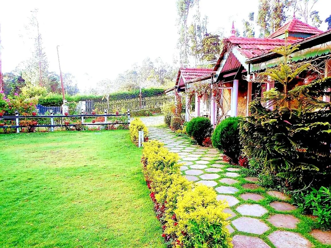 Garden in Abu Residency