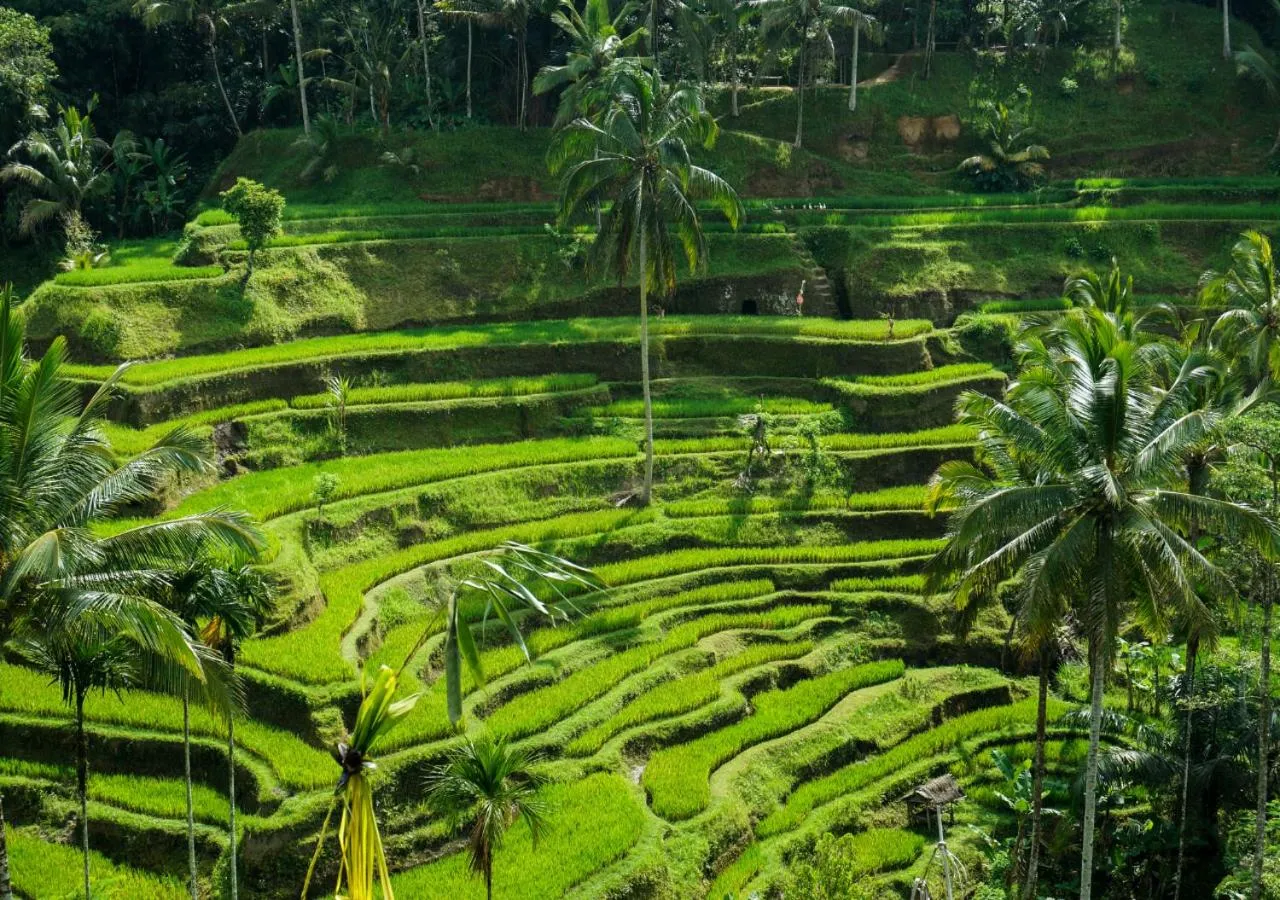 Nearby landmark in Capung Asri Eco Luxury Resort with Private Pool Villas