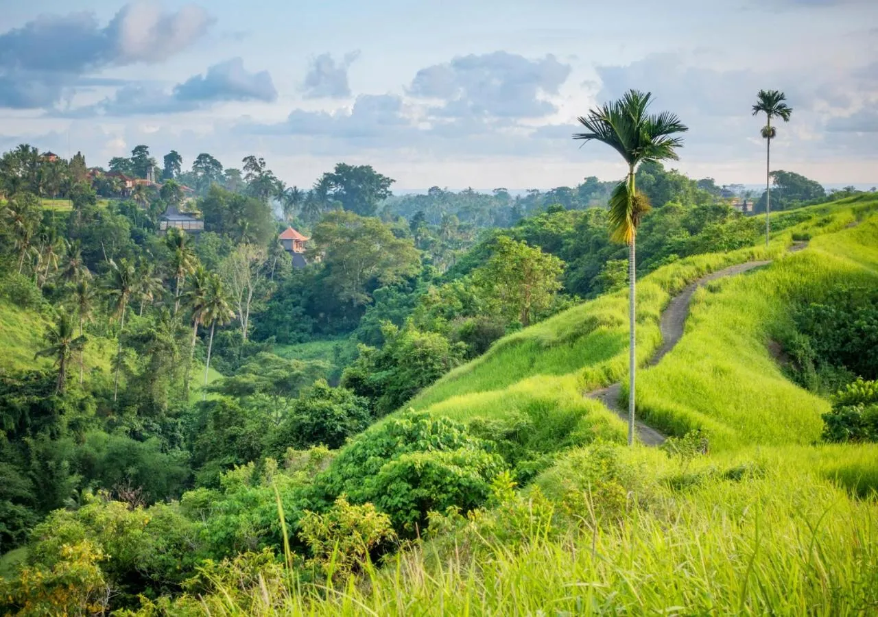 Activities in Capung Asri Eco Luxury Resort with Private Pool Villas