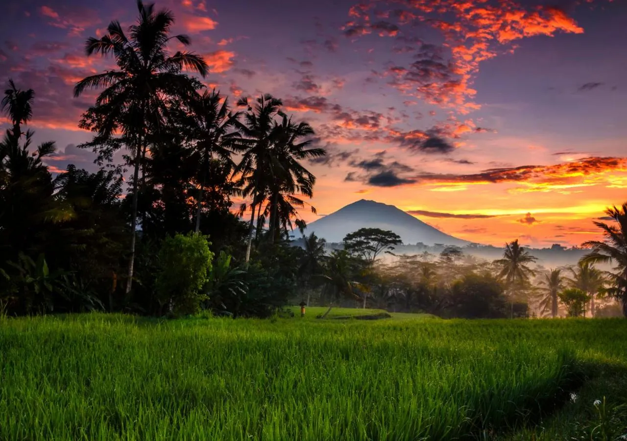 Activities in Capung Asri Eco Luxury Resort with Private Pool Villas