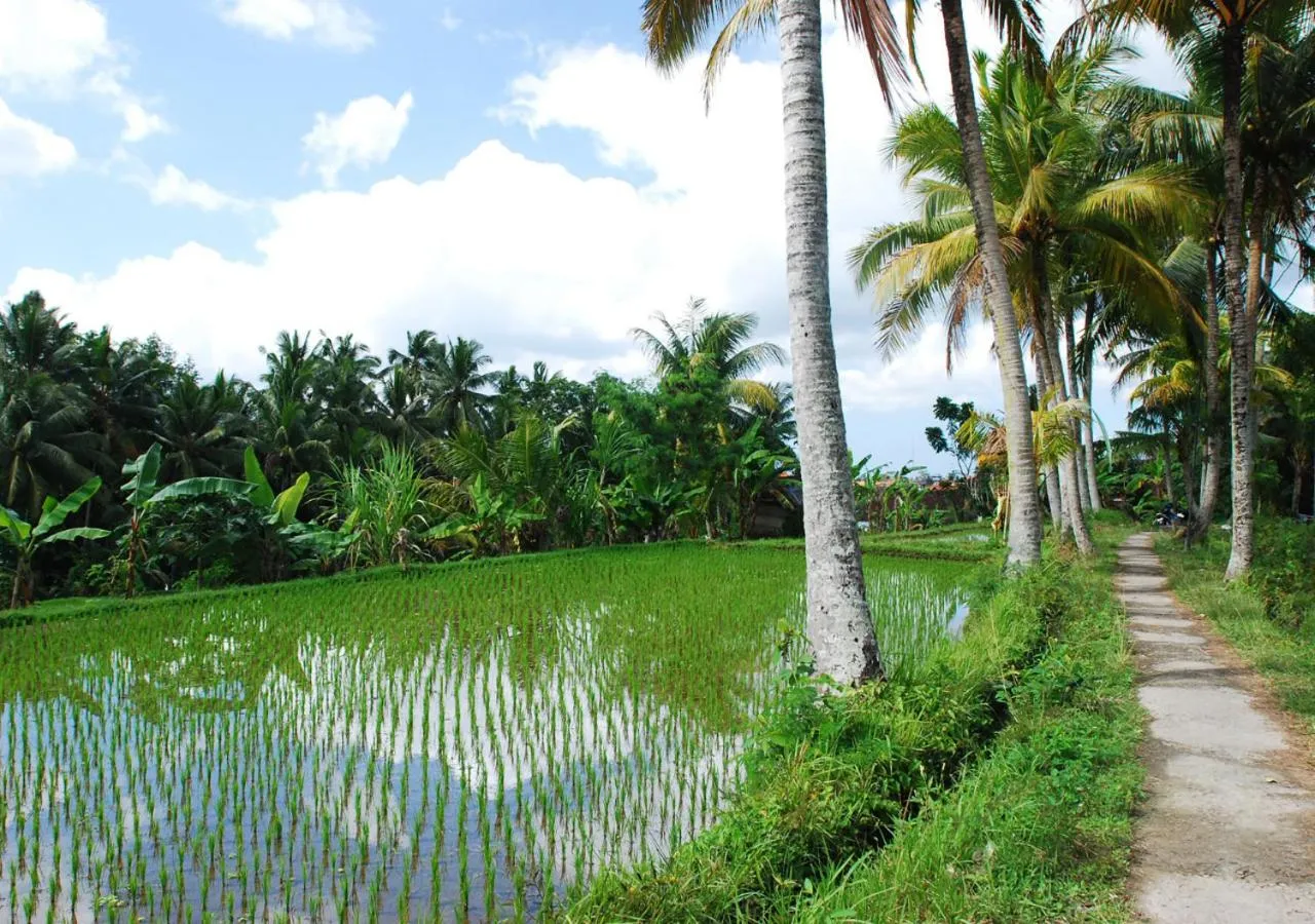 Hiking in Capung Asri Eco Luxury Resort with Private Pool Villas
