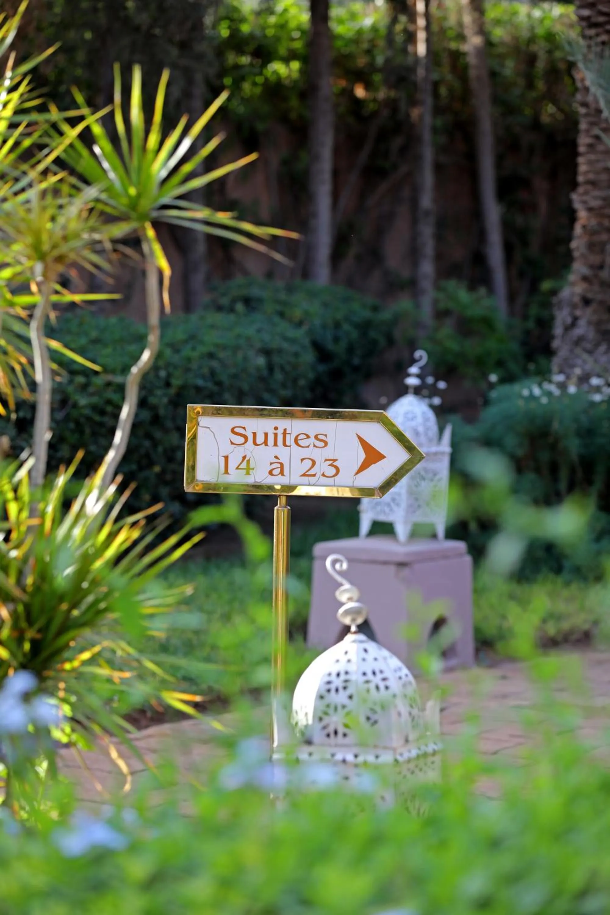 Natural landscape in Pavillon du Golf - Palmeraie suites