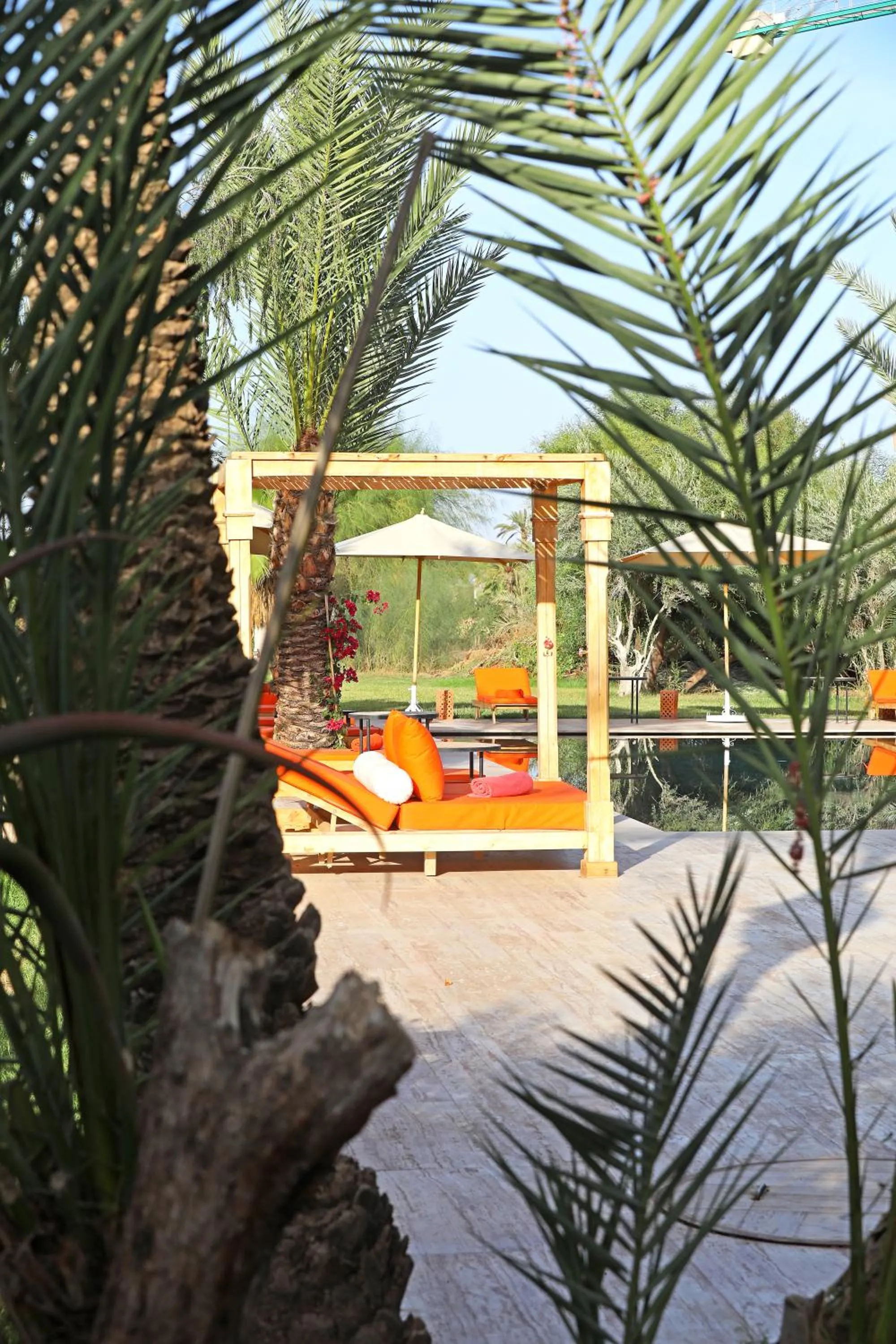 Garden in Pavillon du Golf - Palmeraie suites