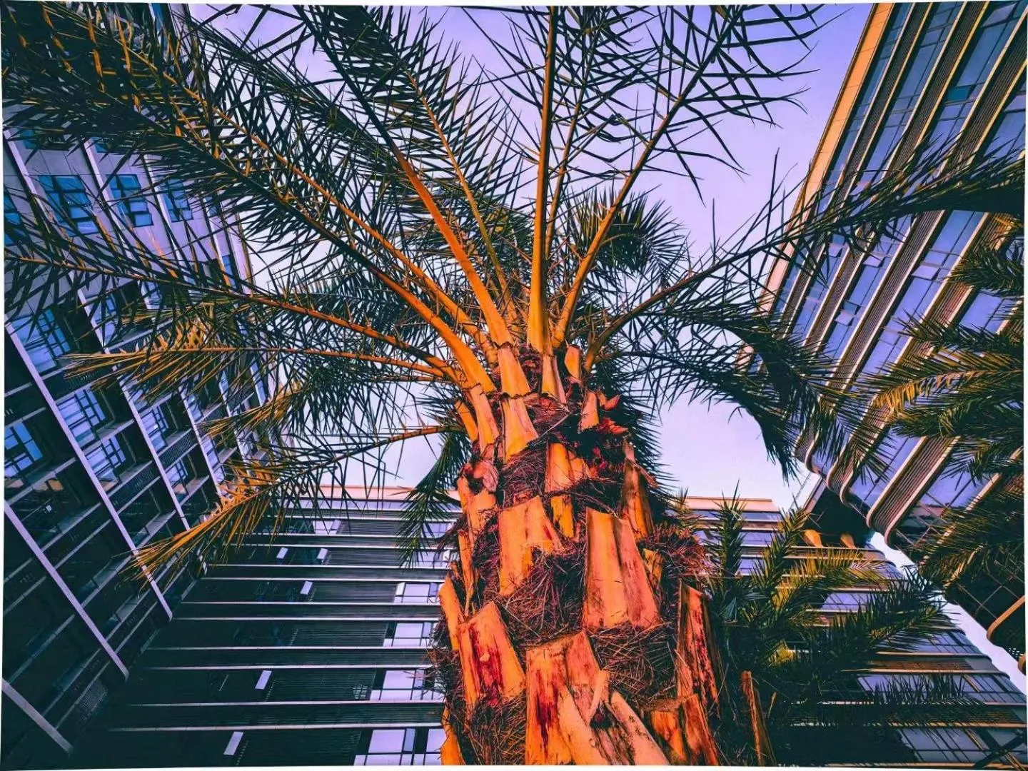 Garden in Guangzhou Baiyun Airport MeHood Liz Hotel