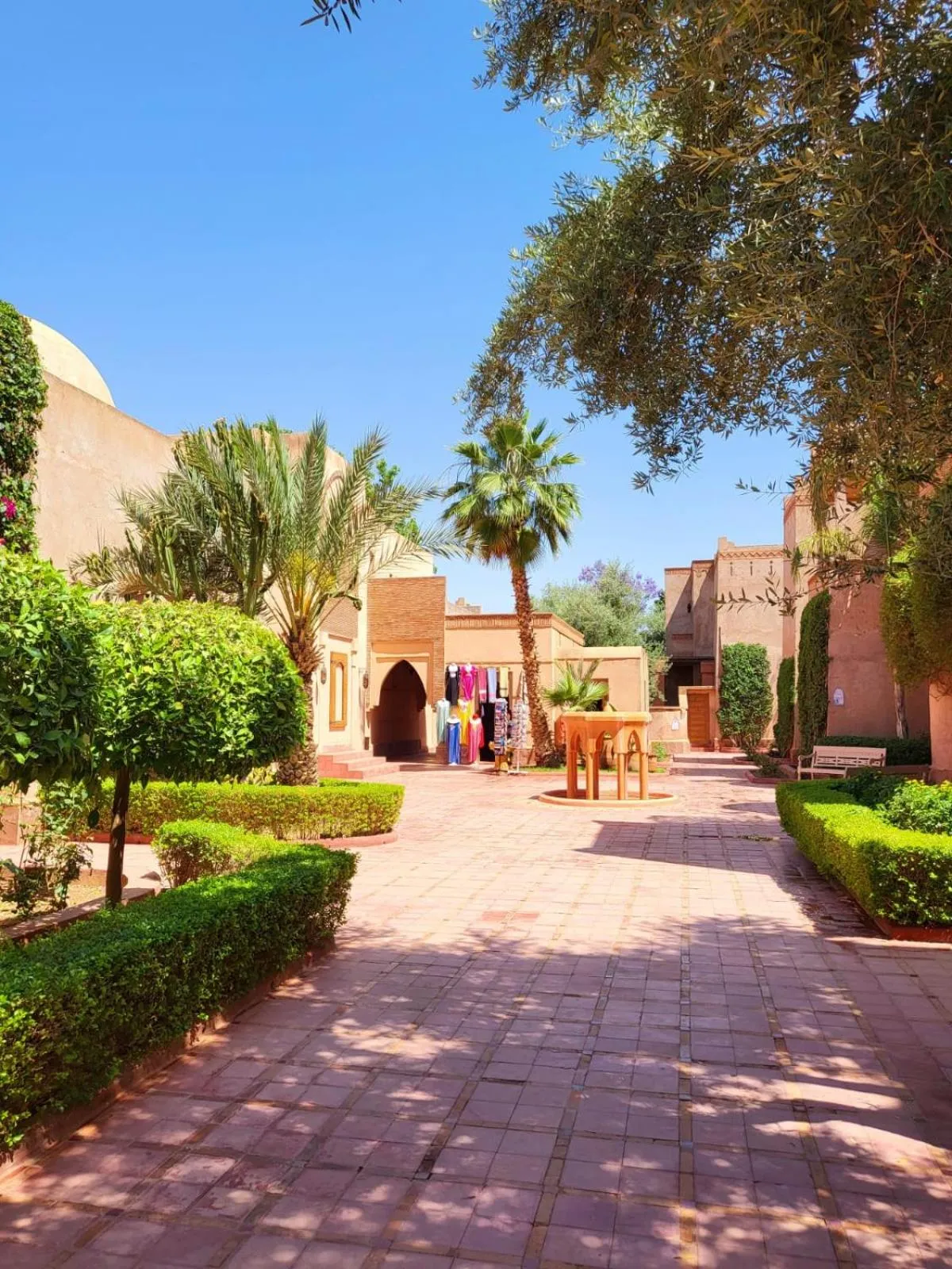 Garden in La Maison Des Oliviers