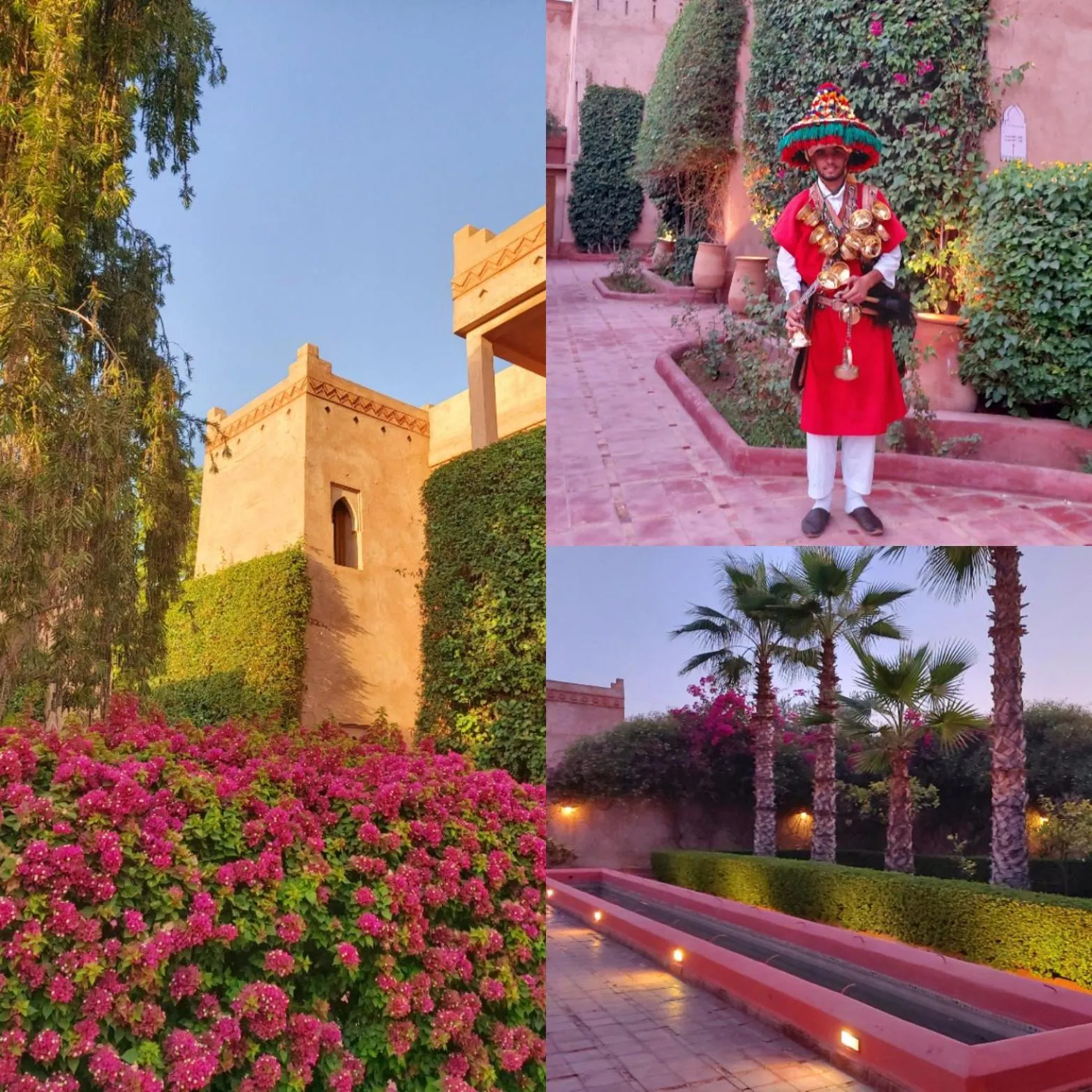 Garden in La Maison Des Oliviers