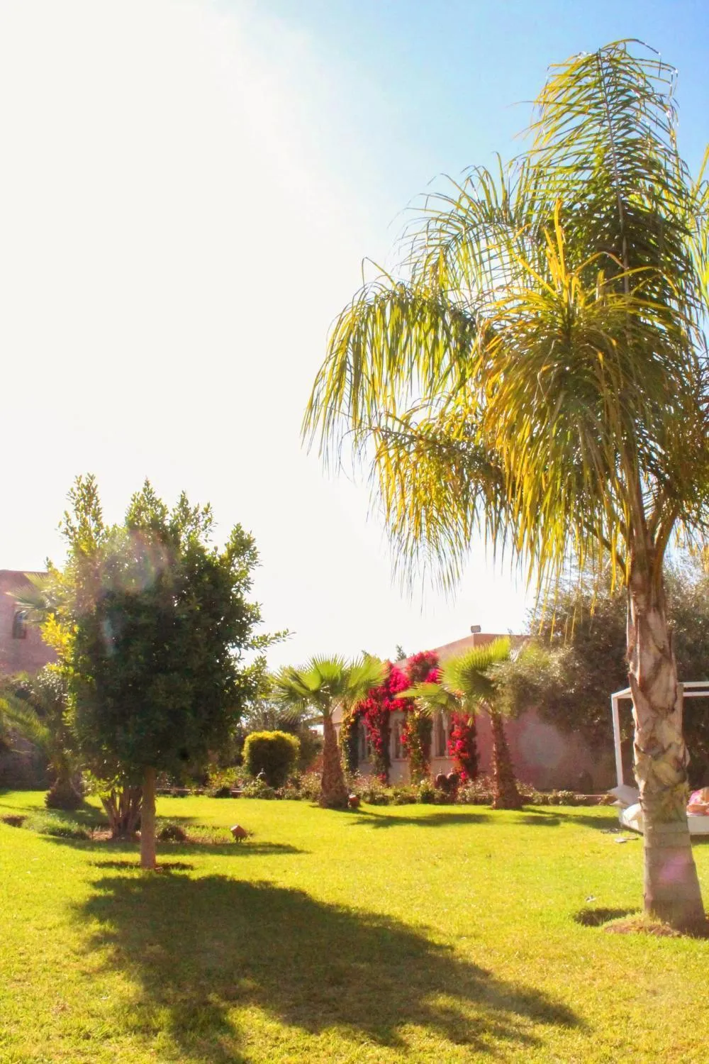 Garden in La Maison Des Oliviers