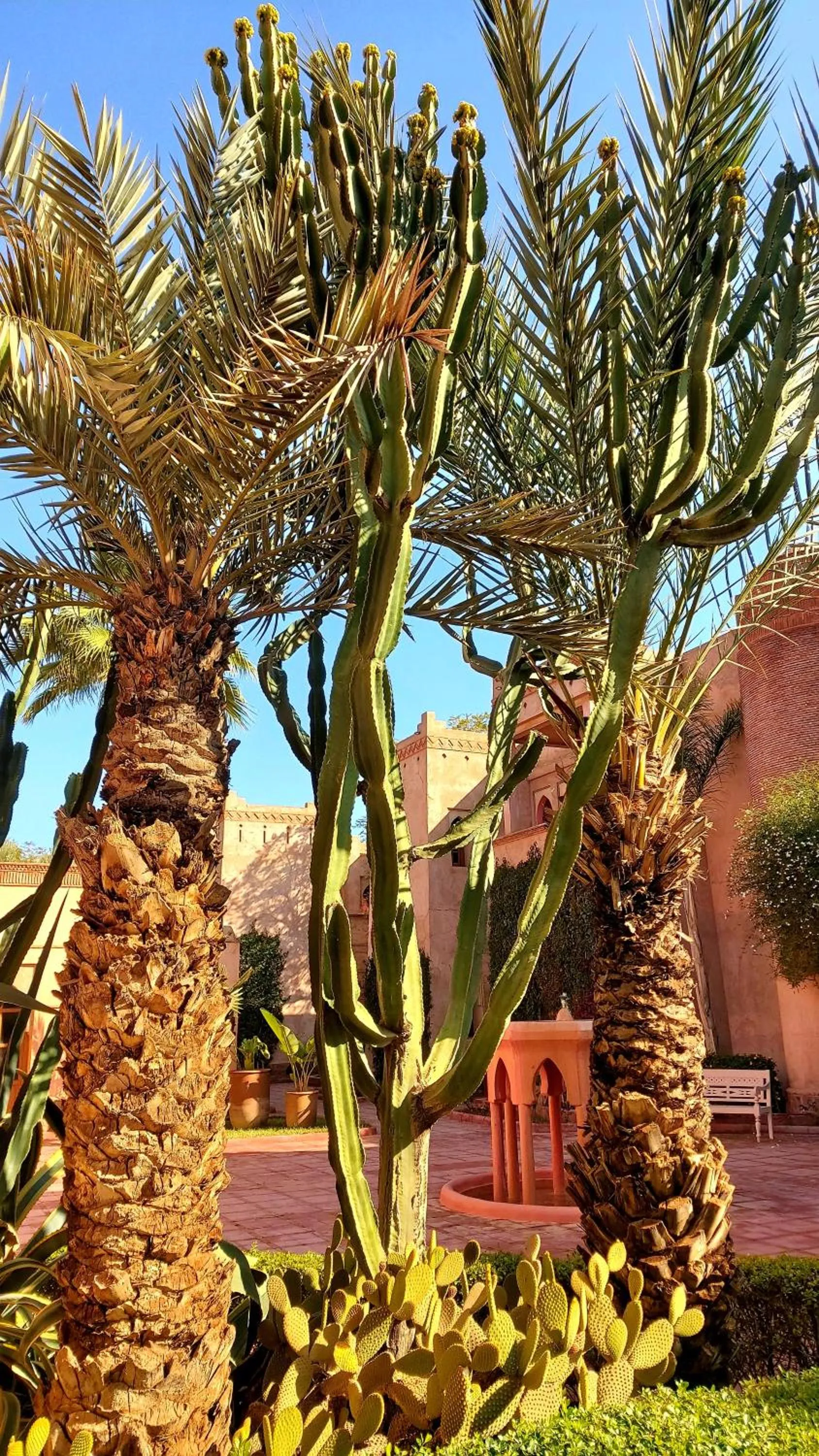 Garden in La Maison Des Oliviers