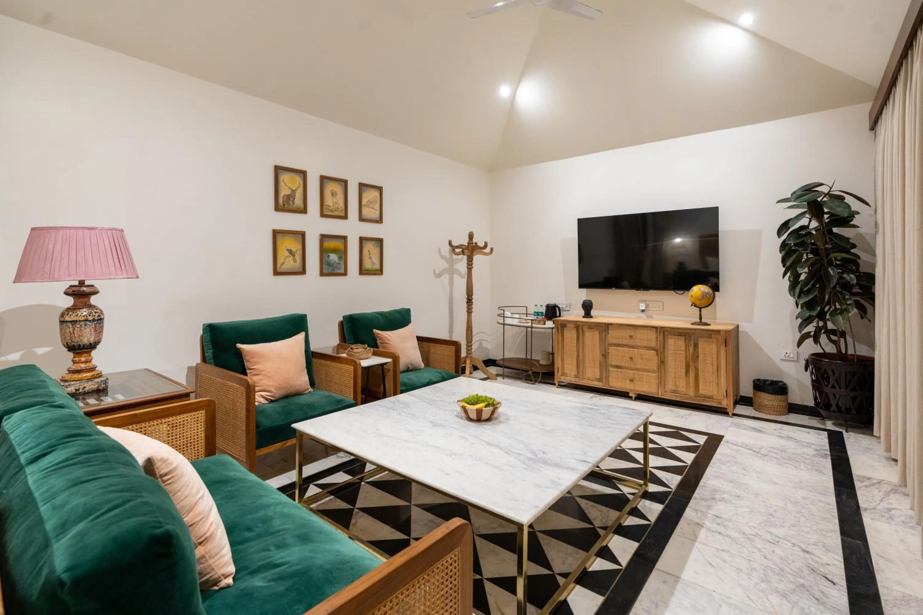 TV and multimedia in Surpura Bagh