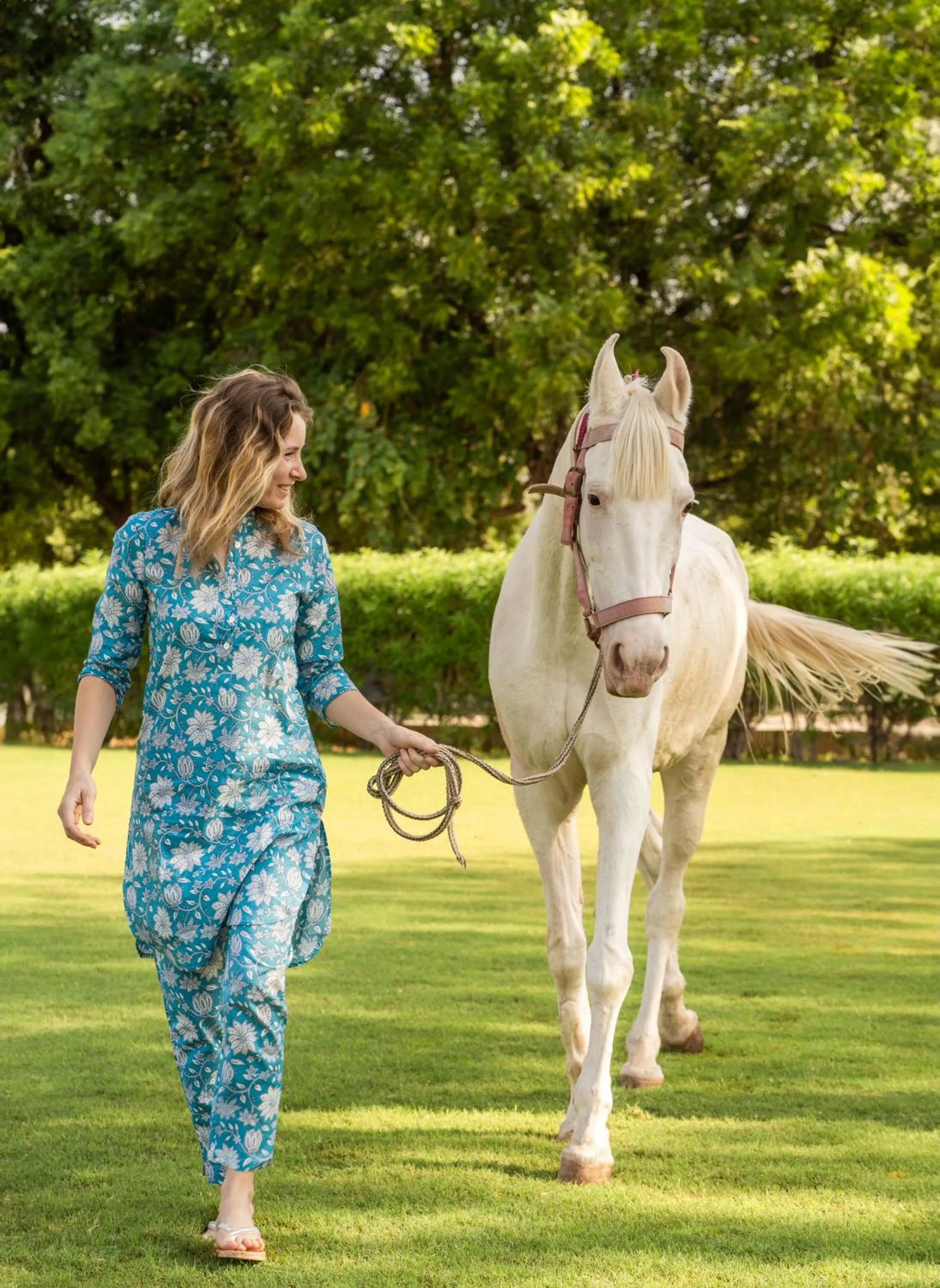 Garden in Surpura Bagh