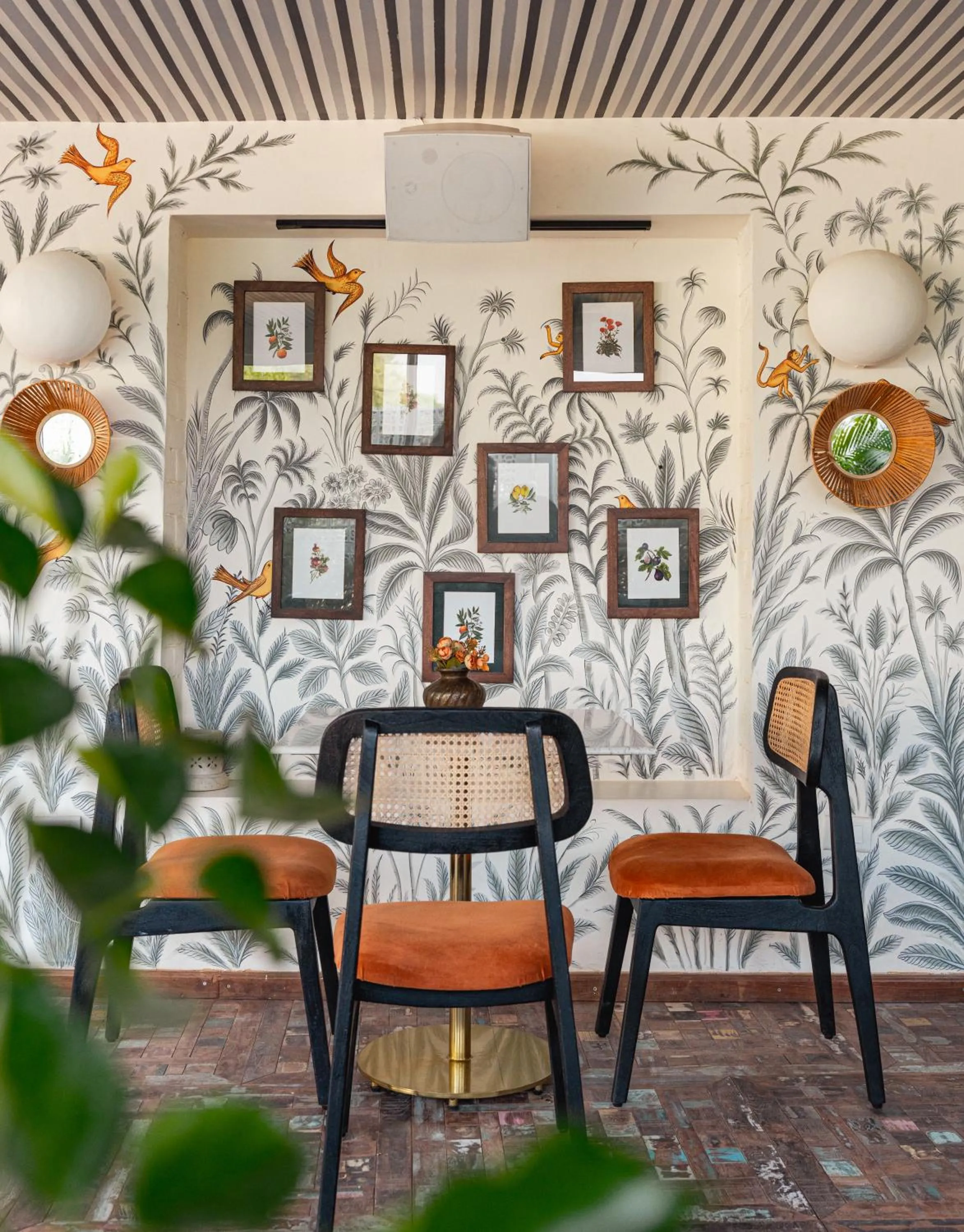 Restaurant/places to eat in Surpura Bagh