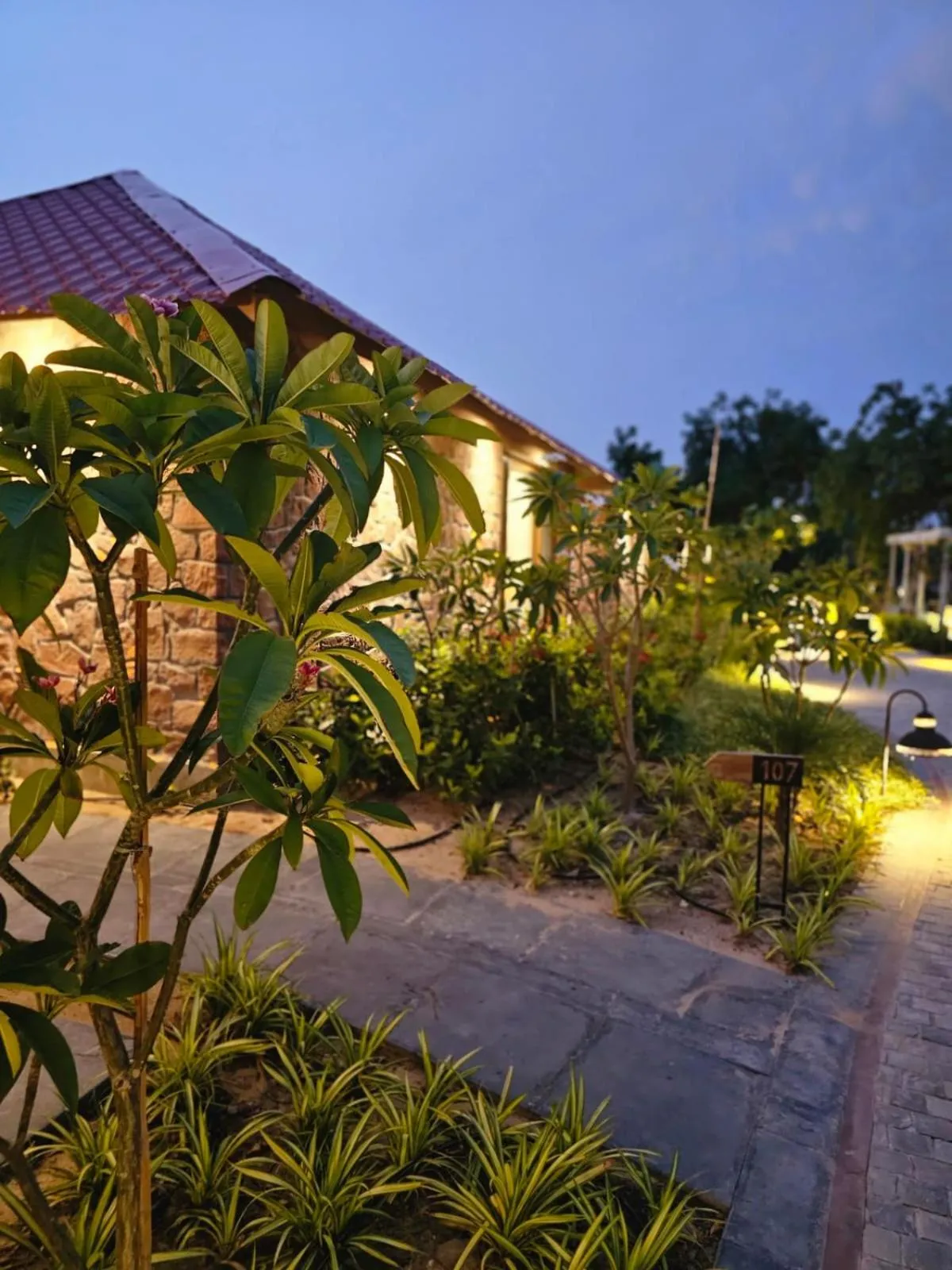 Natural landscape in Surpura Bagh