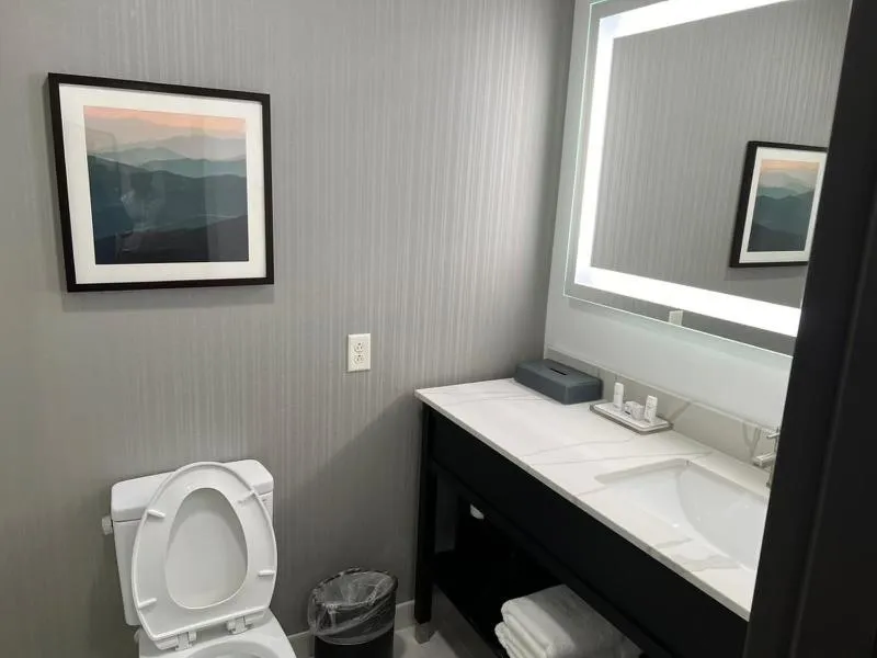 Toilet in La Quinta Inn & Suites by Wyndham Manchester - Arnold AFB
