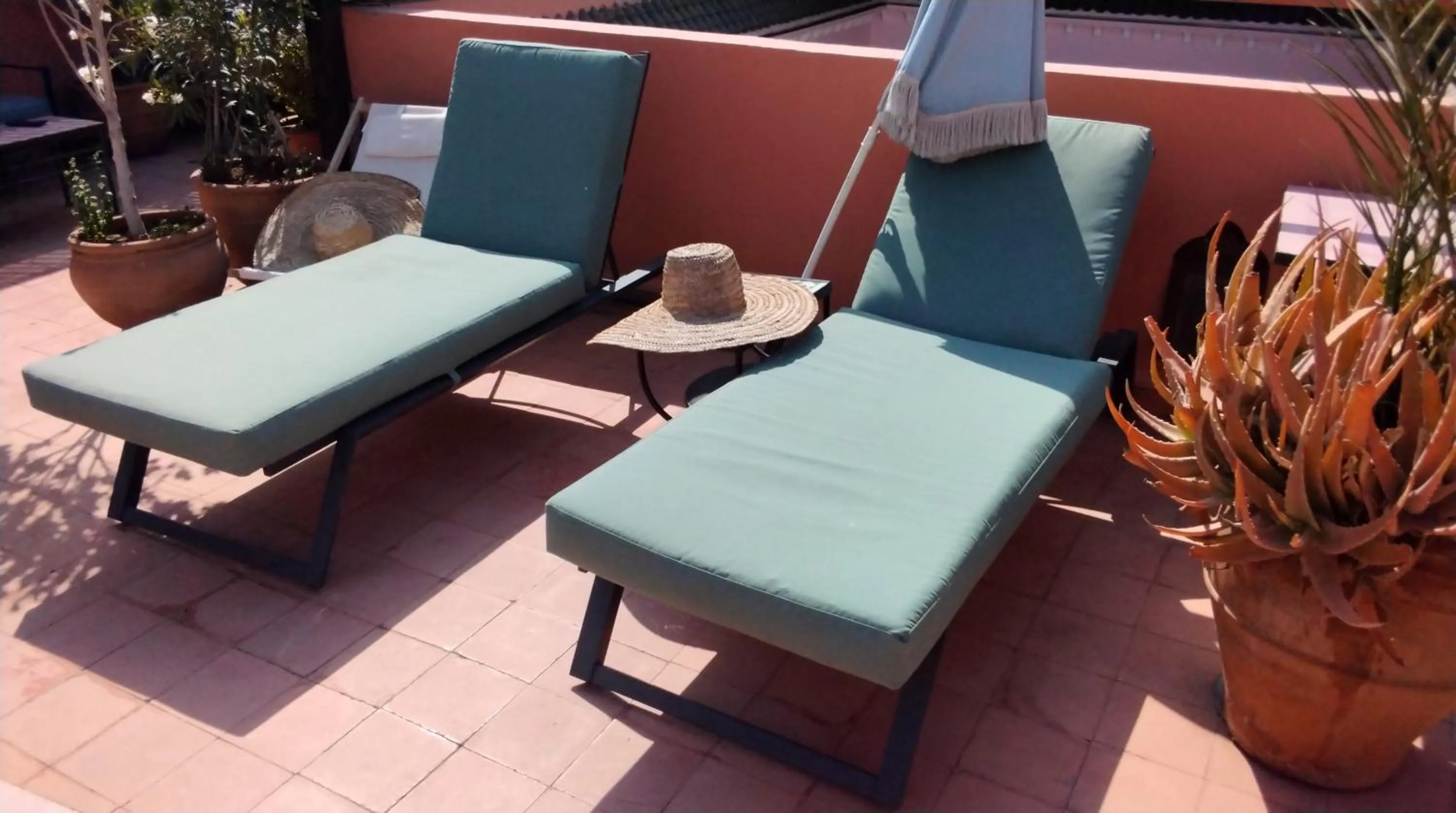 Balcony/Terrace in Riad Lauriers Blancs