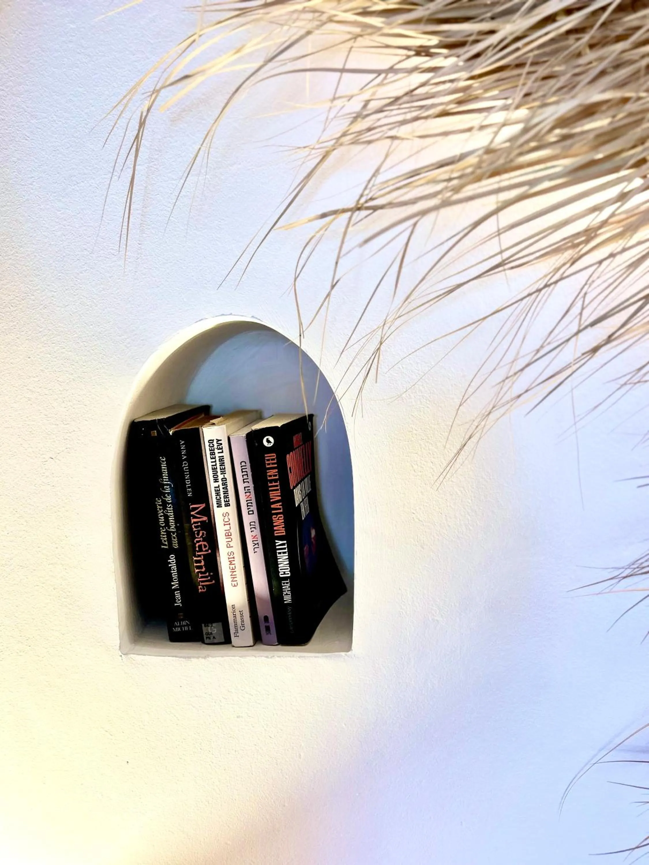 Library in Riad Lauriers Blancs