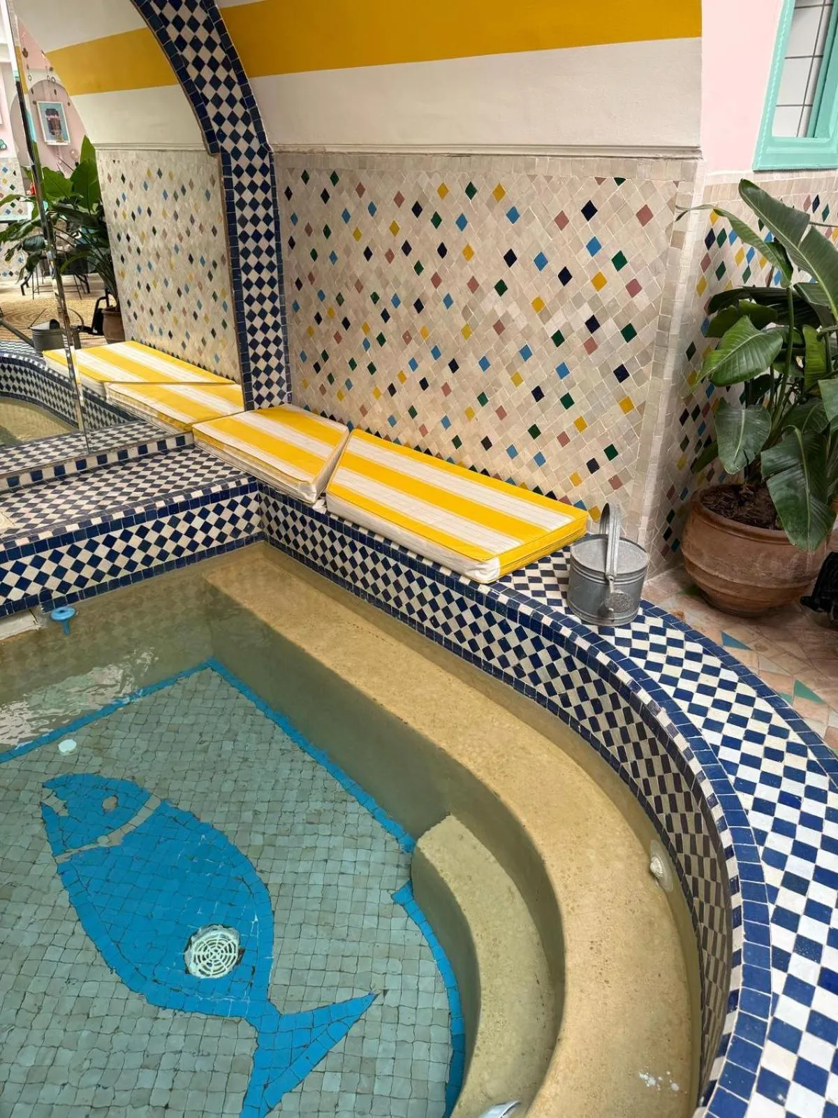 Swimming pool in Riad Lauriers Blancs