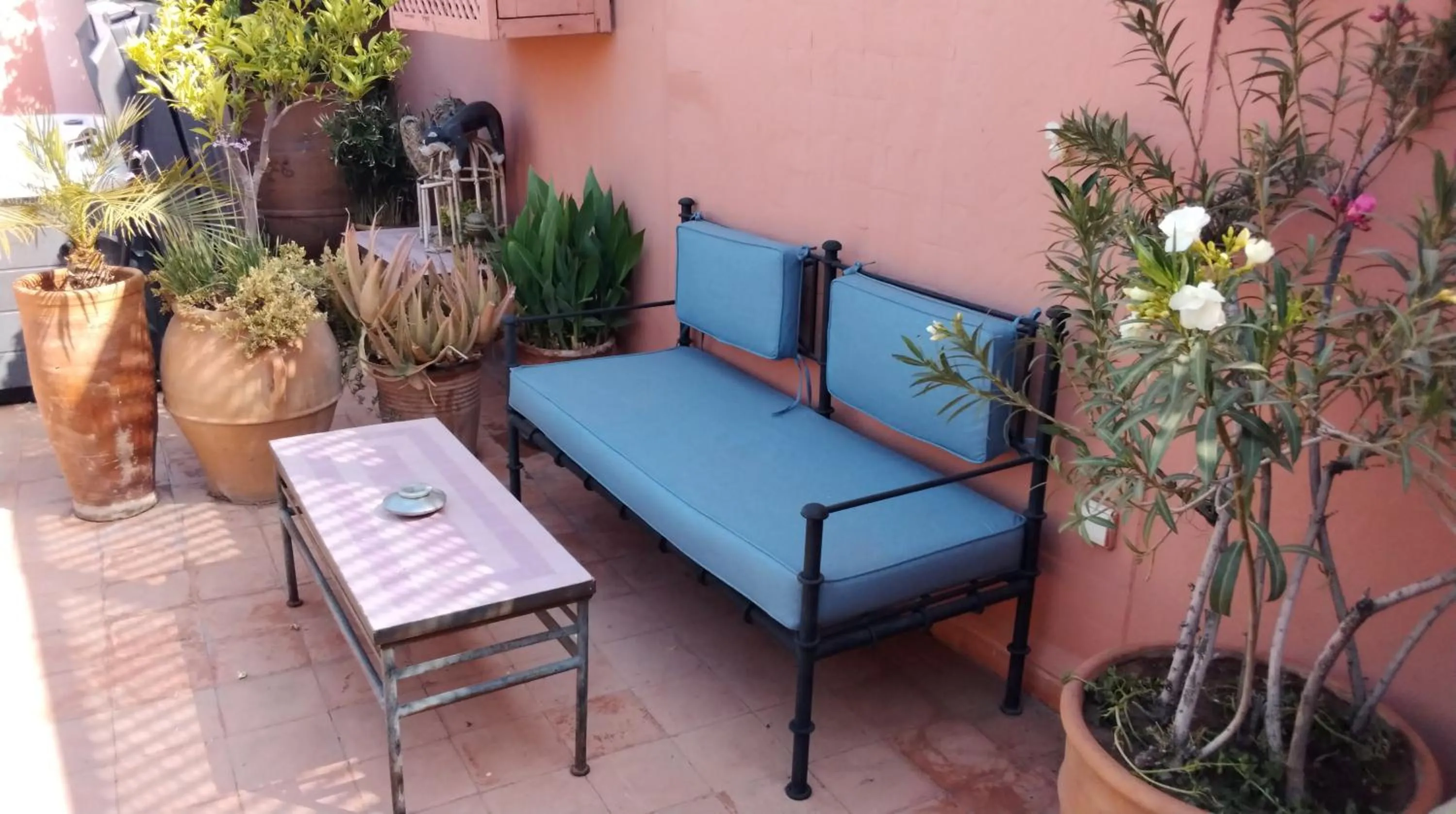 Balcony/Terrace in Riad Lauriers Blancs
