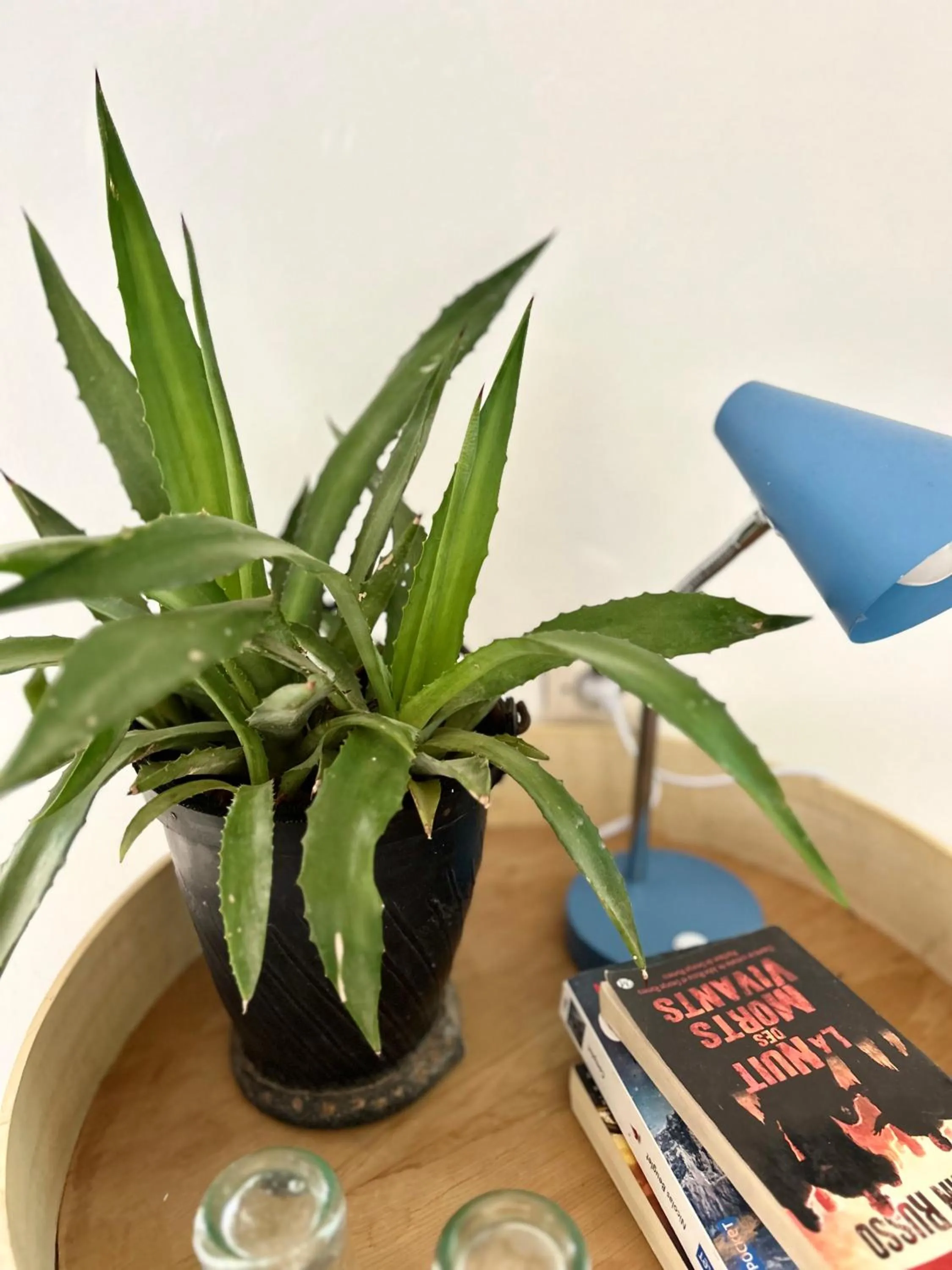 Decorative detail in Riad Lauriers Blancs