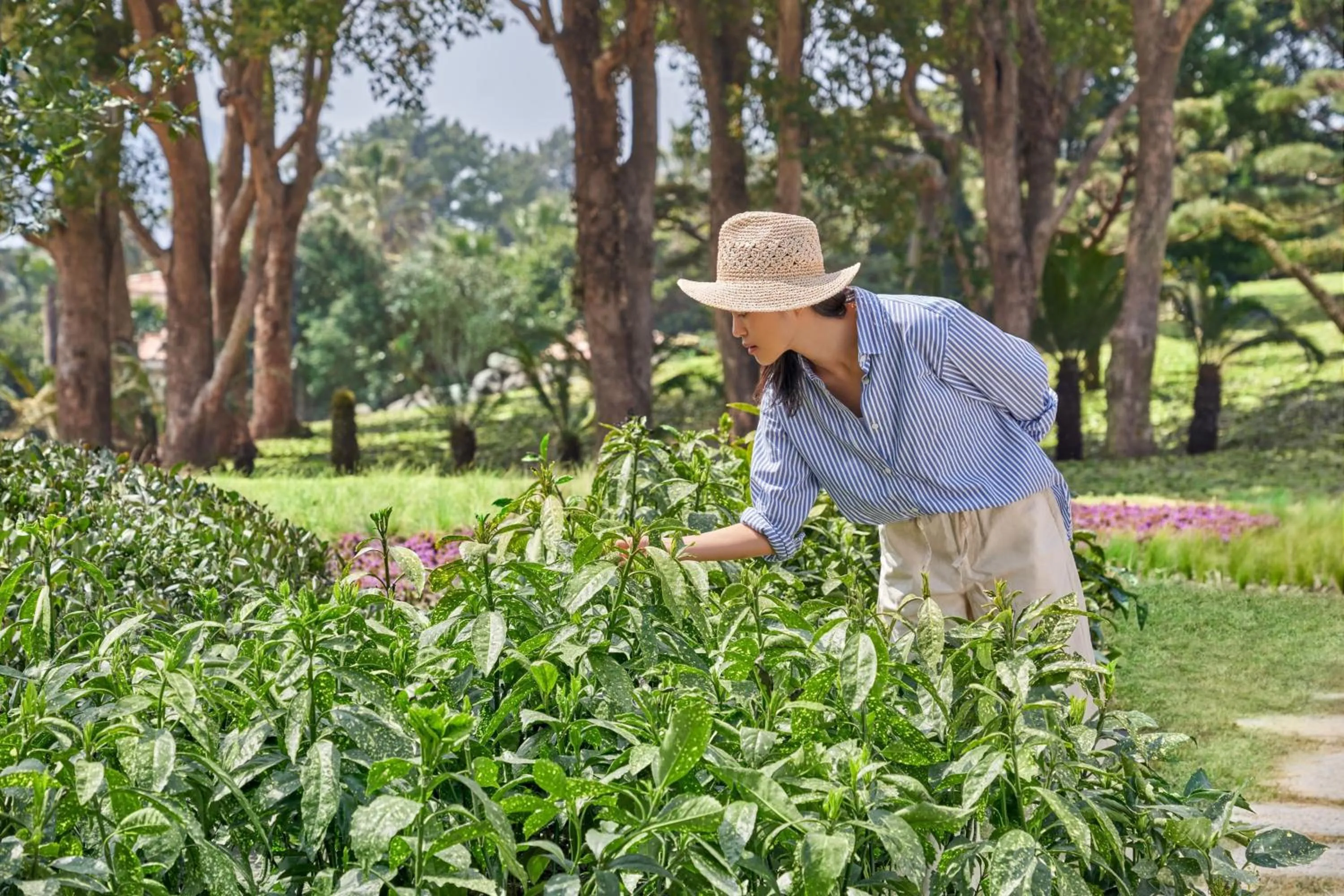 Other in JW Marriott Jeju Resort & Spa