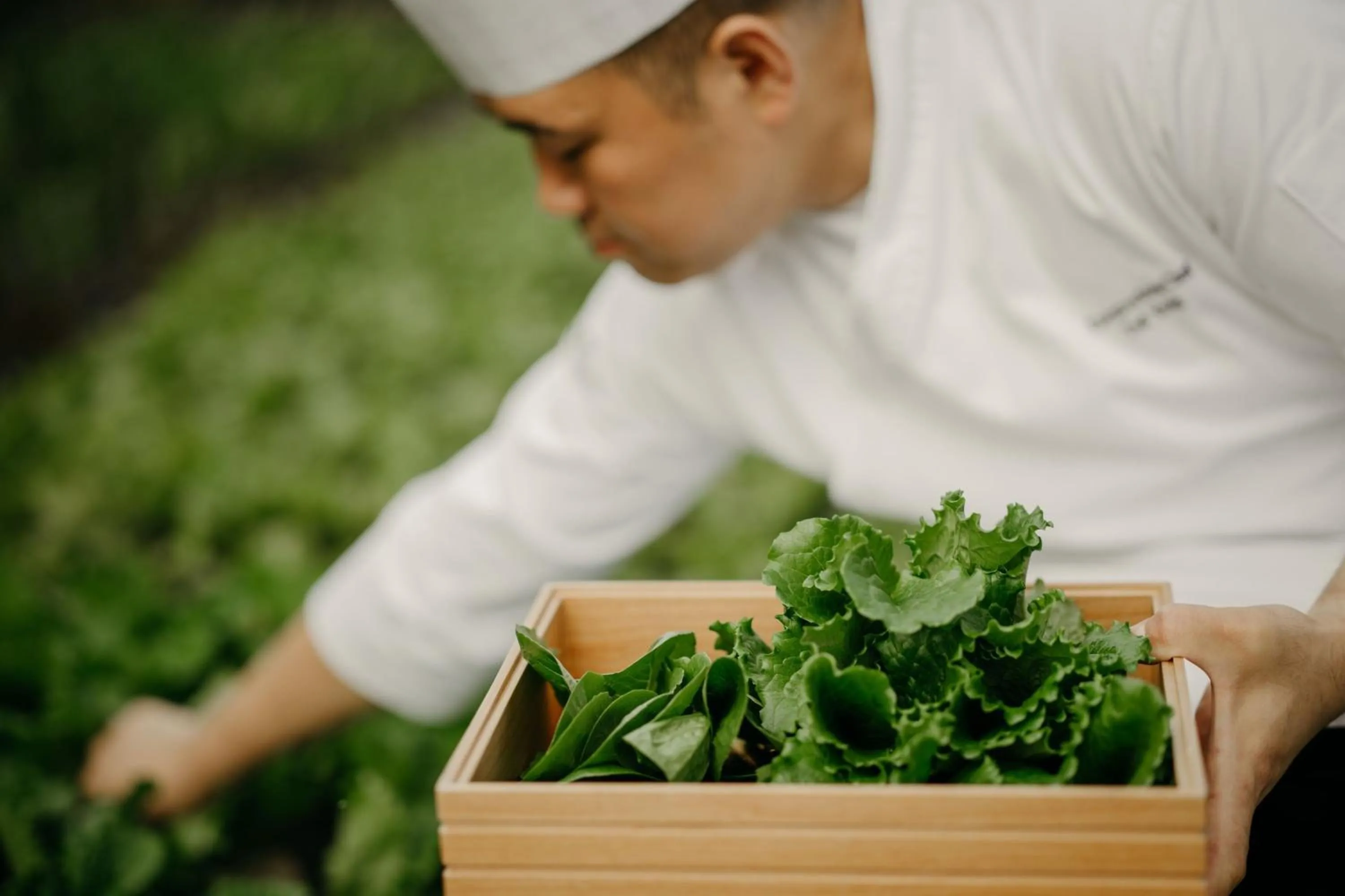 Other in JW Marriott Jeju Resort & Spa