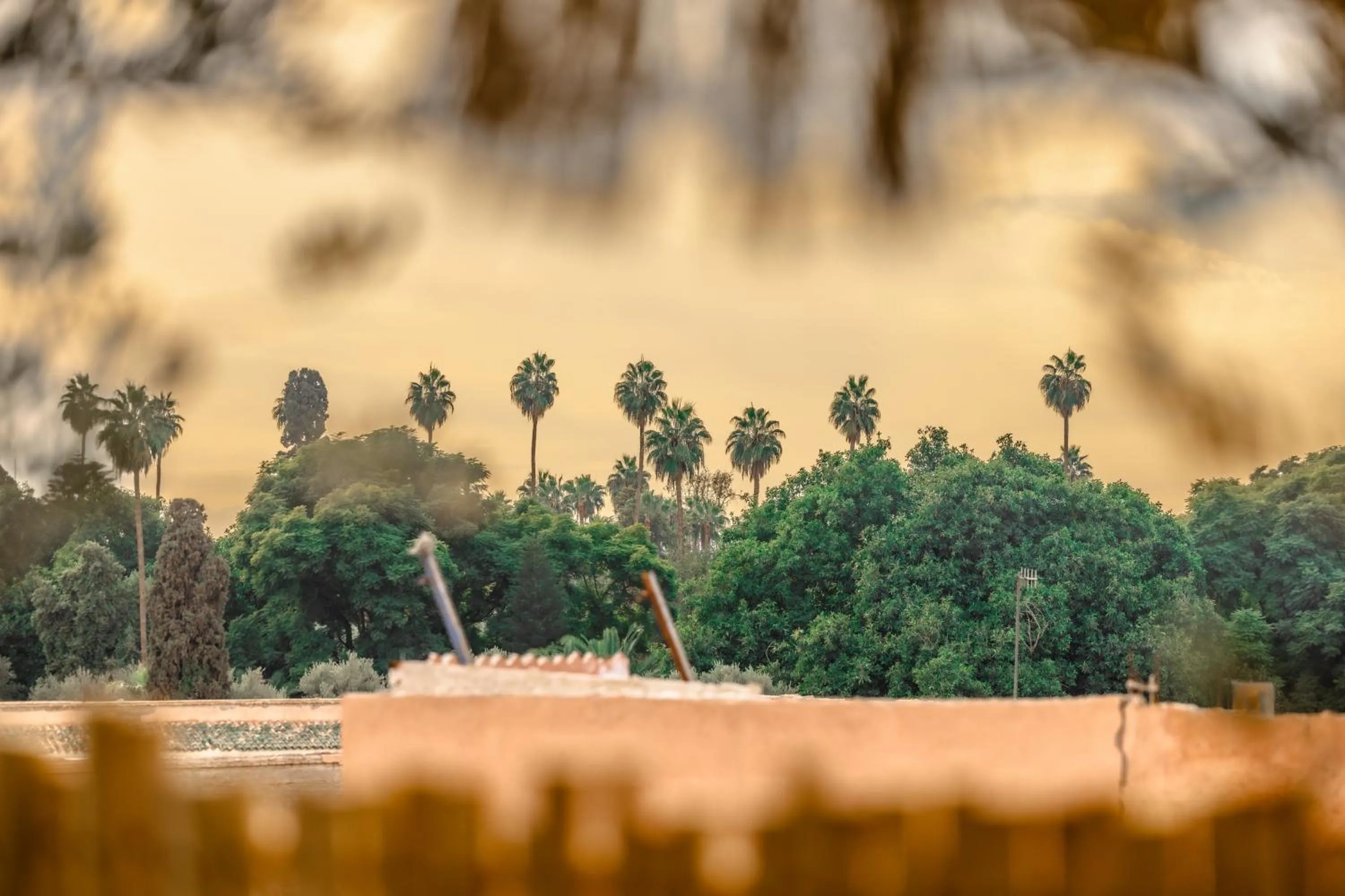 View (from property/room) in Riad Dar Beldia and Spa