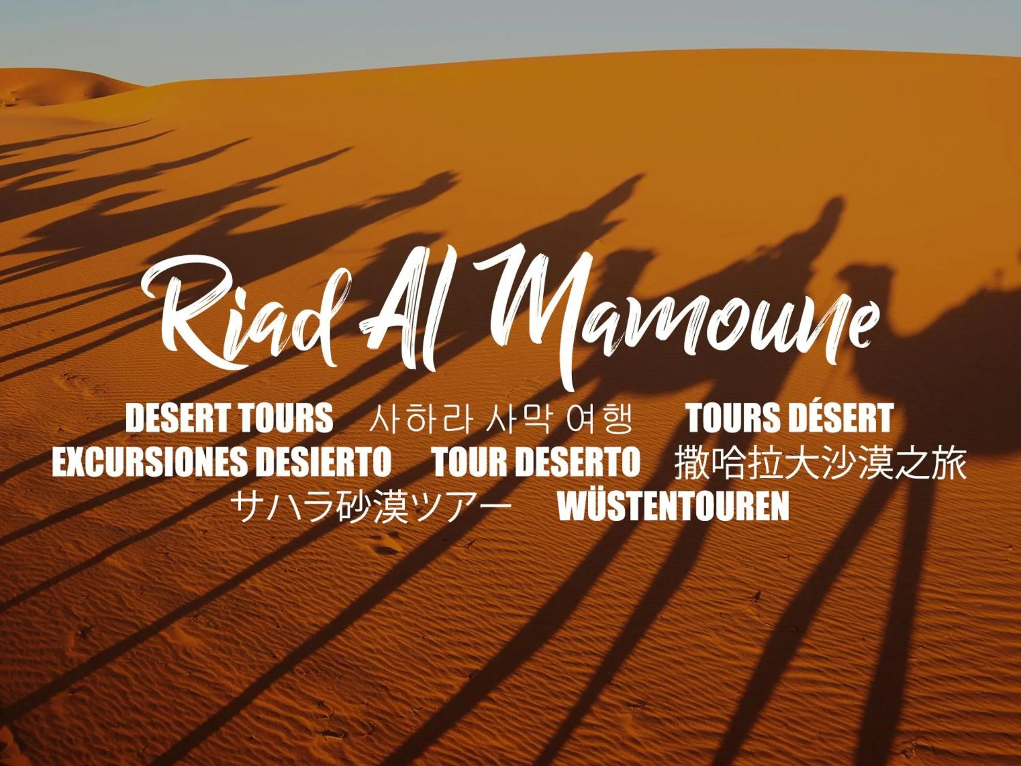 Activities in Riad Al Mamoune