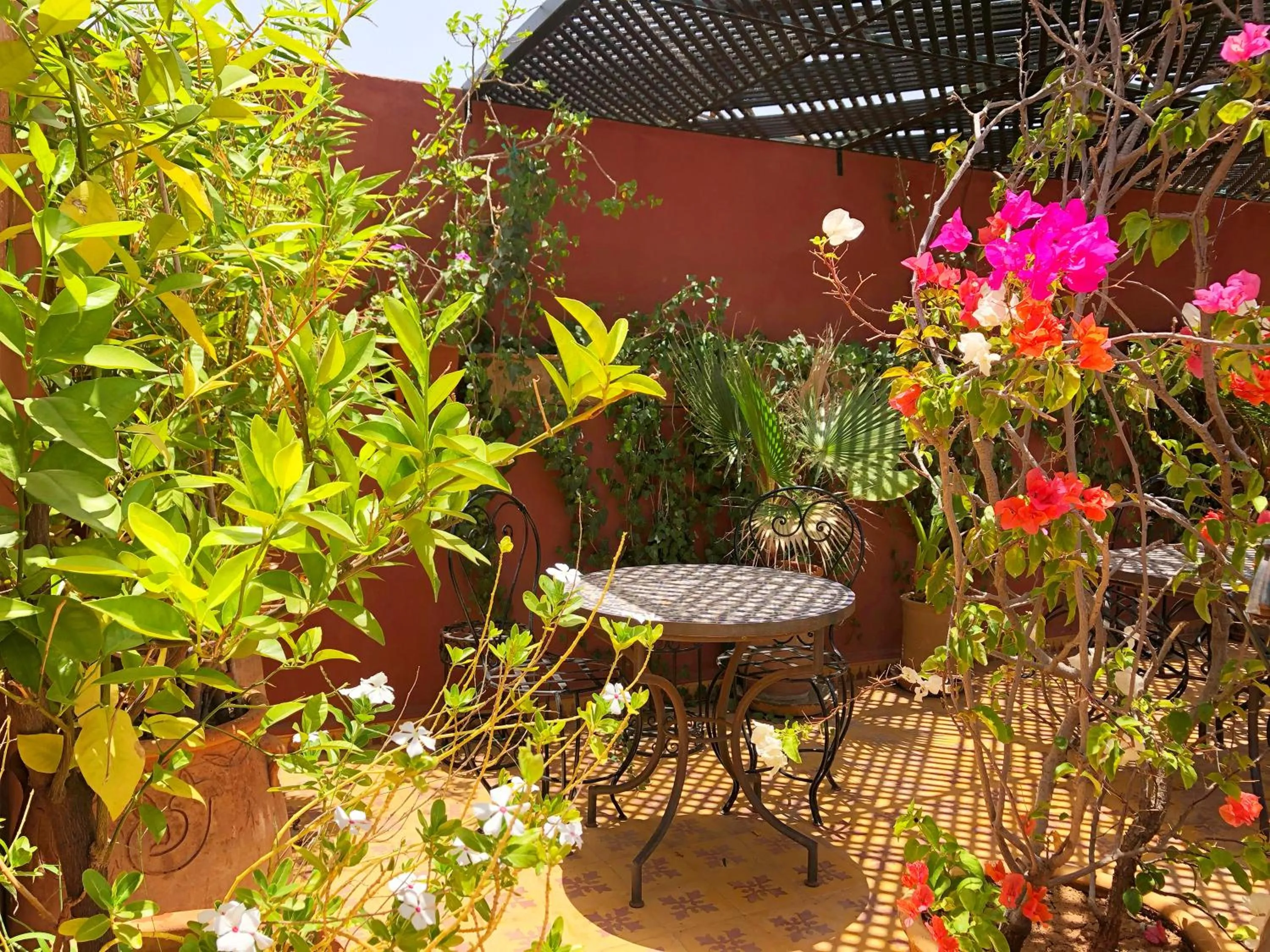 Garden in Riad Al Mamoune